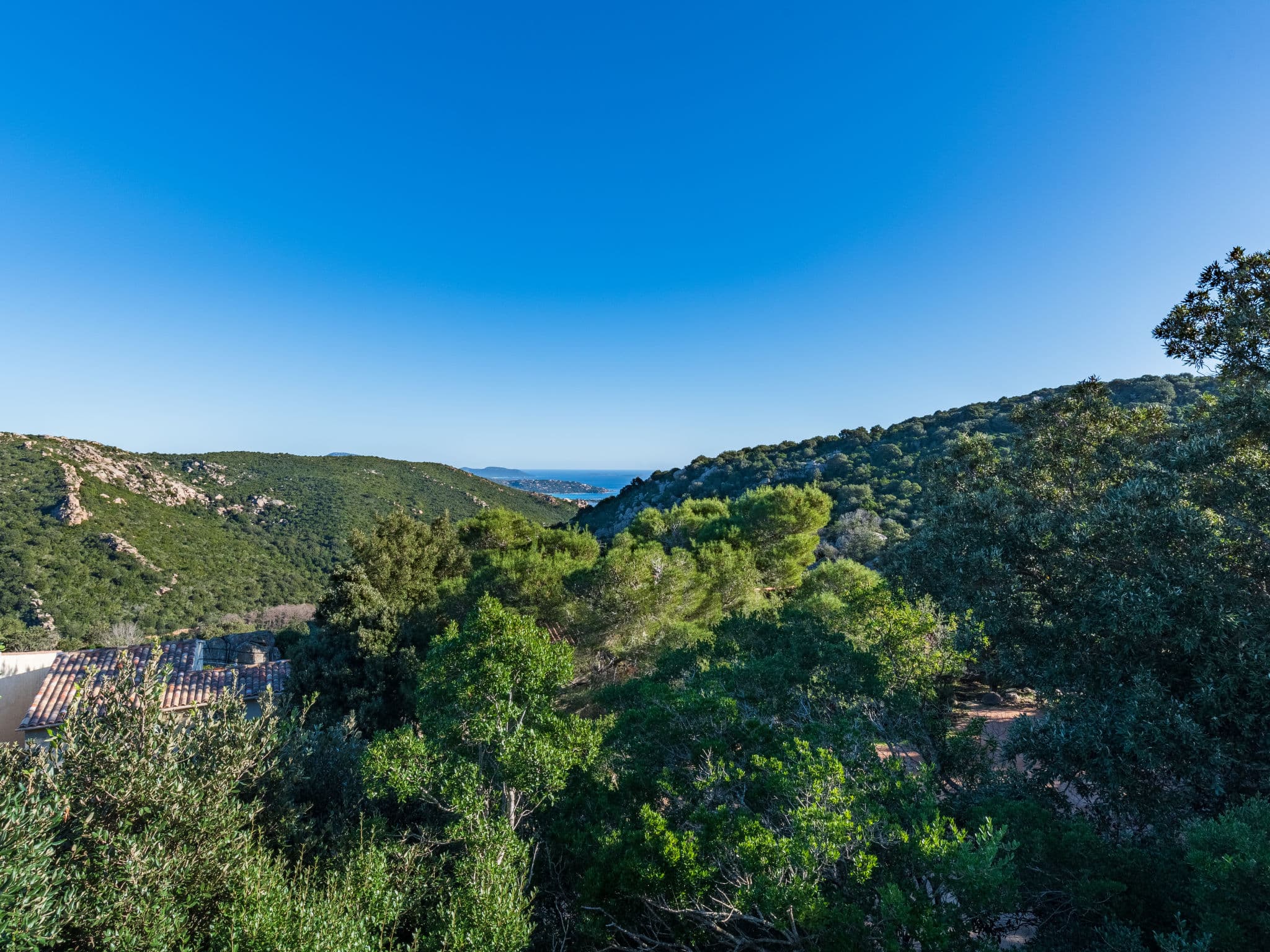 View