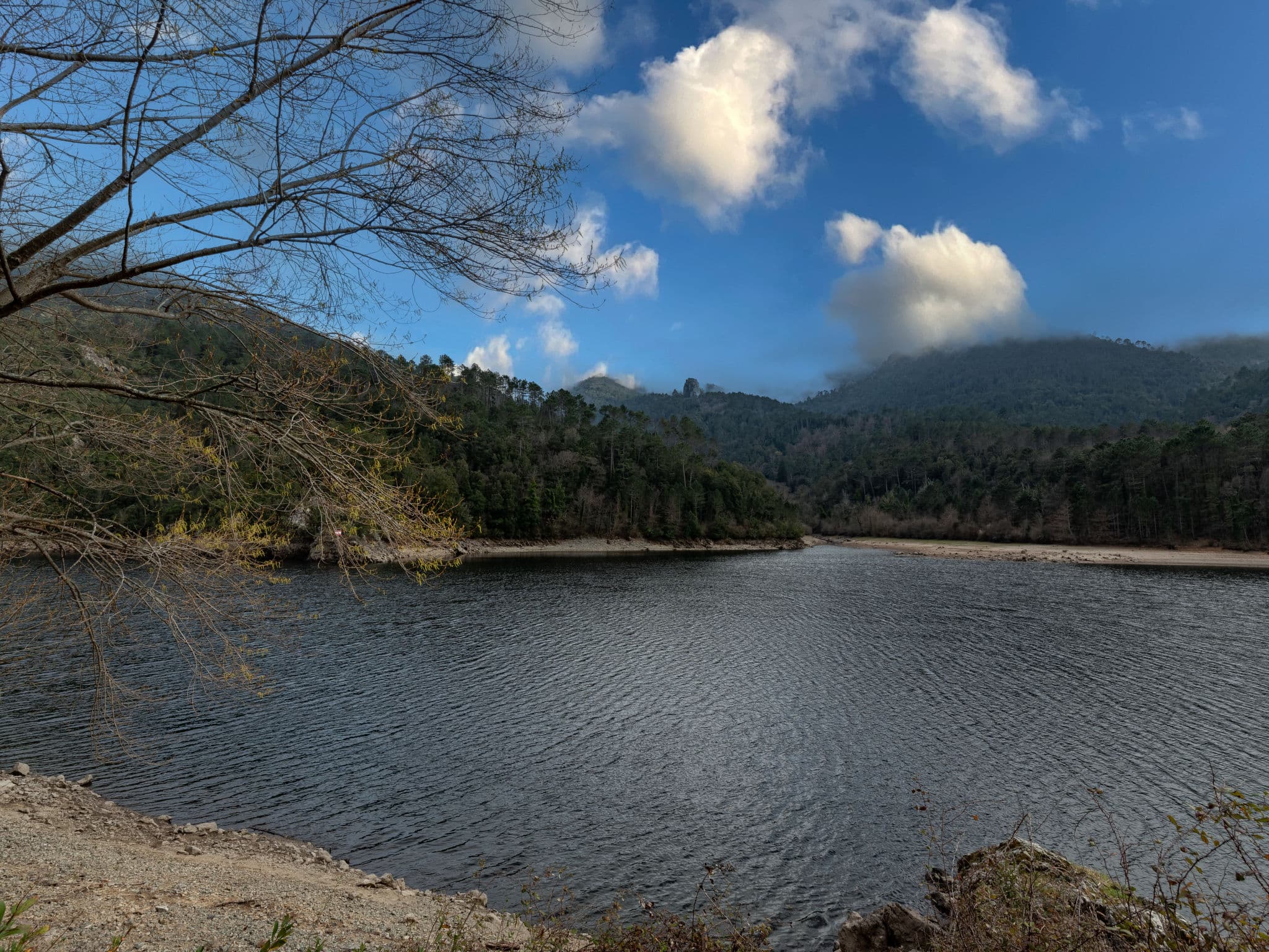 View