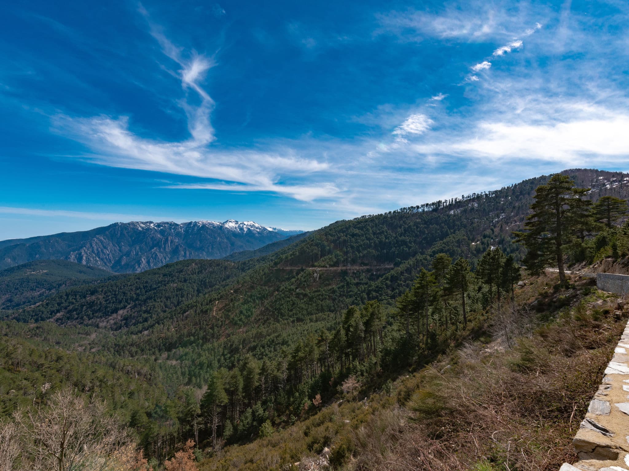 View