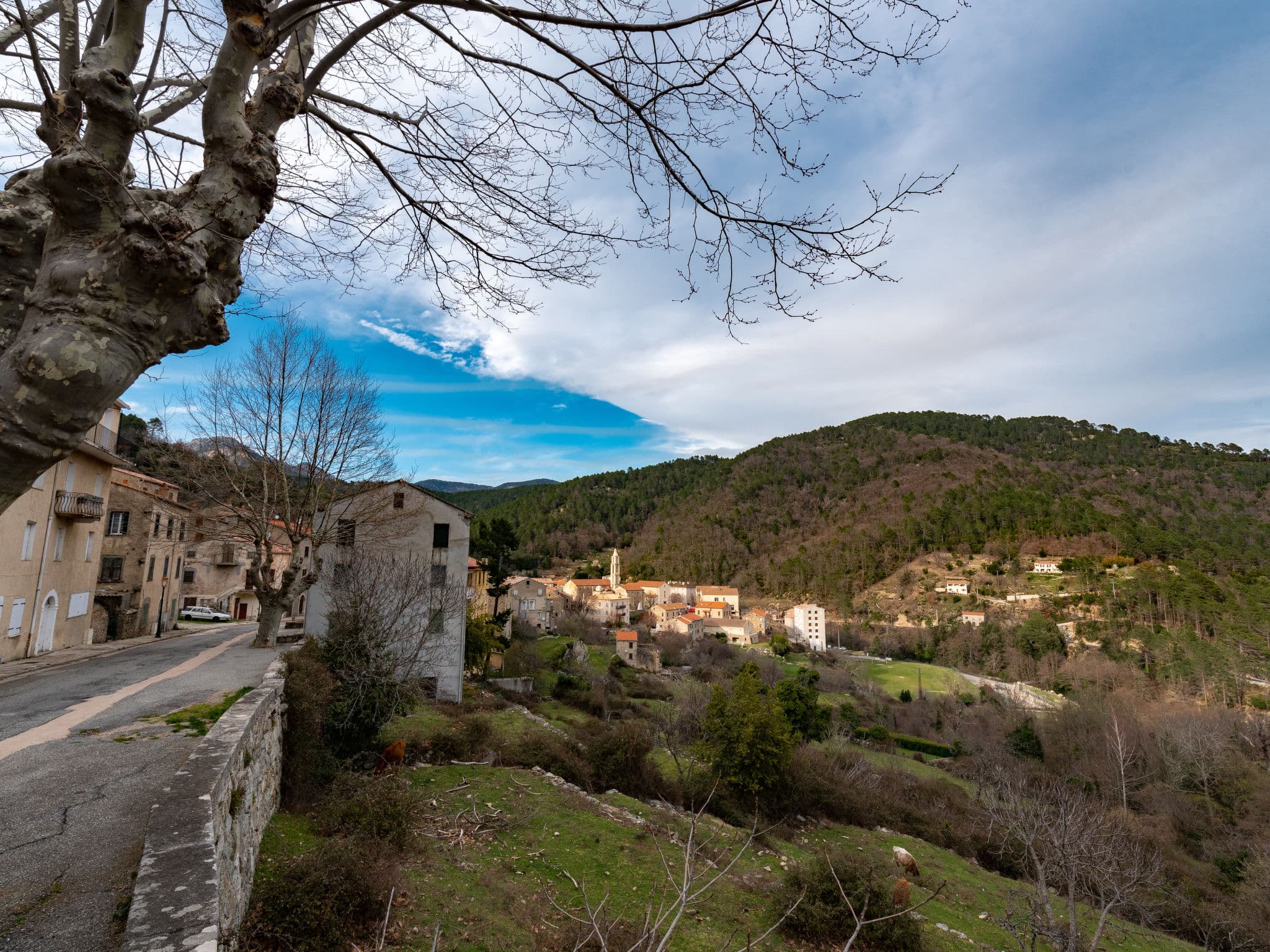 View