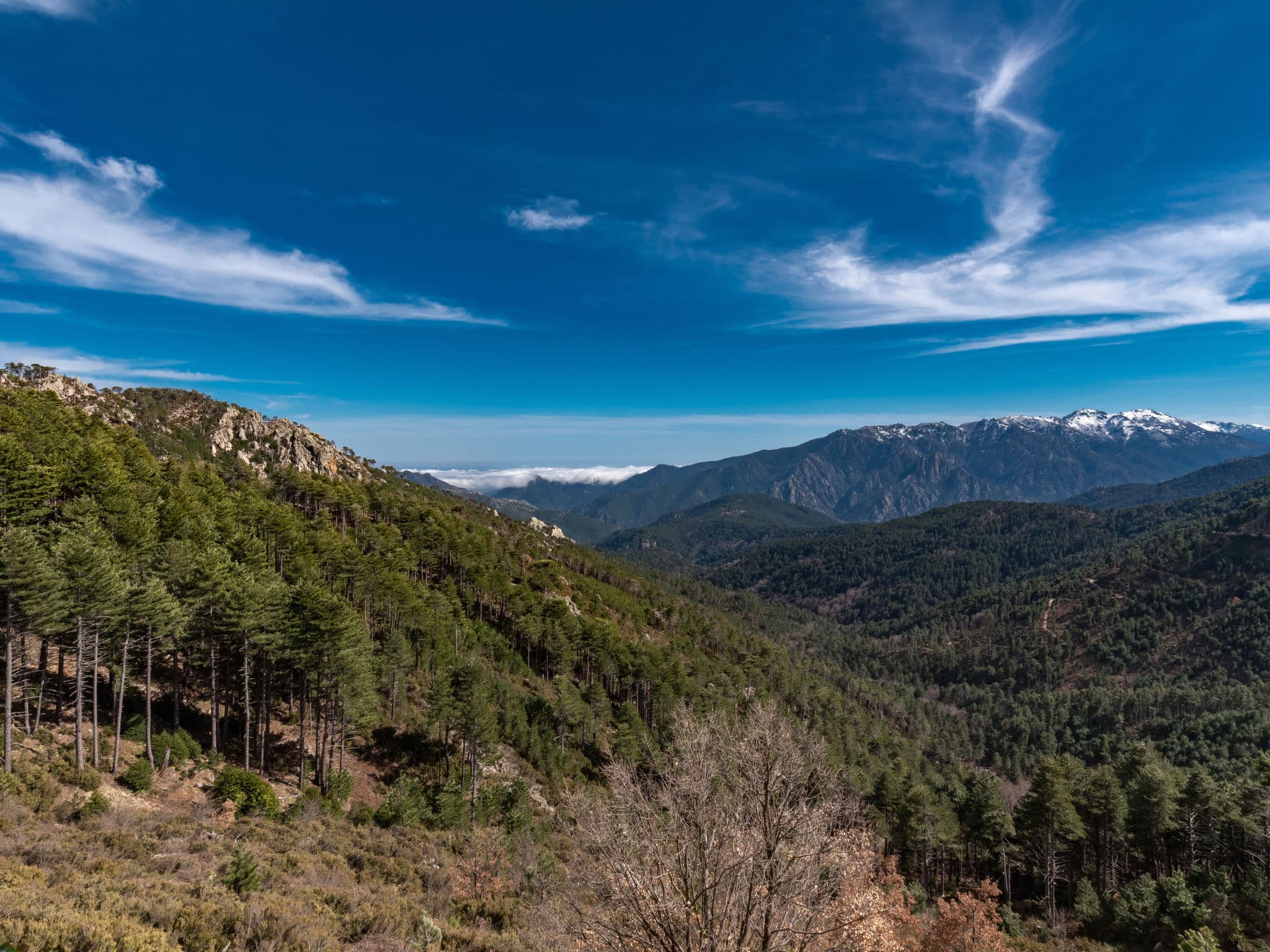 View