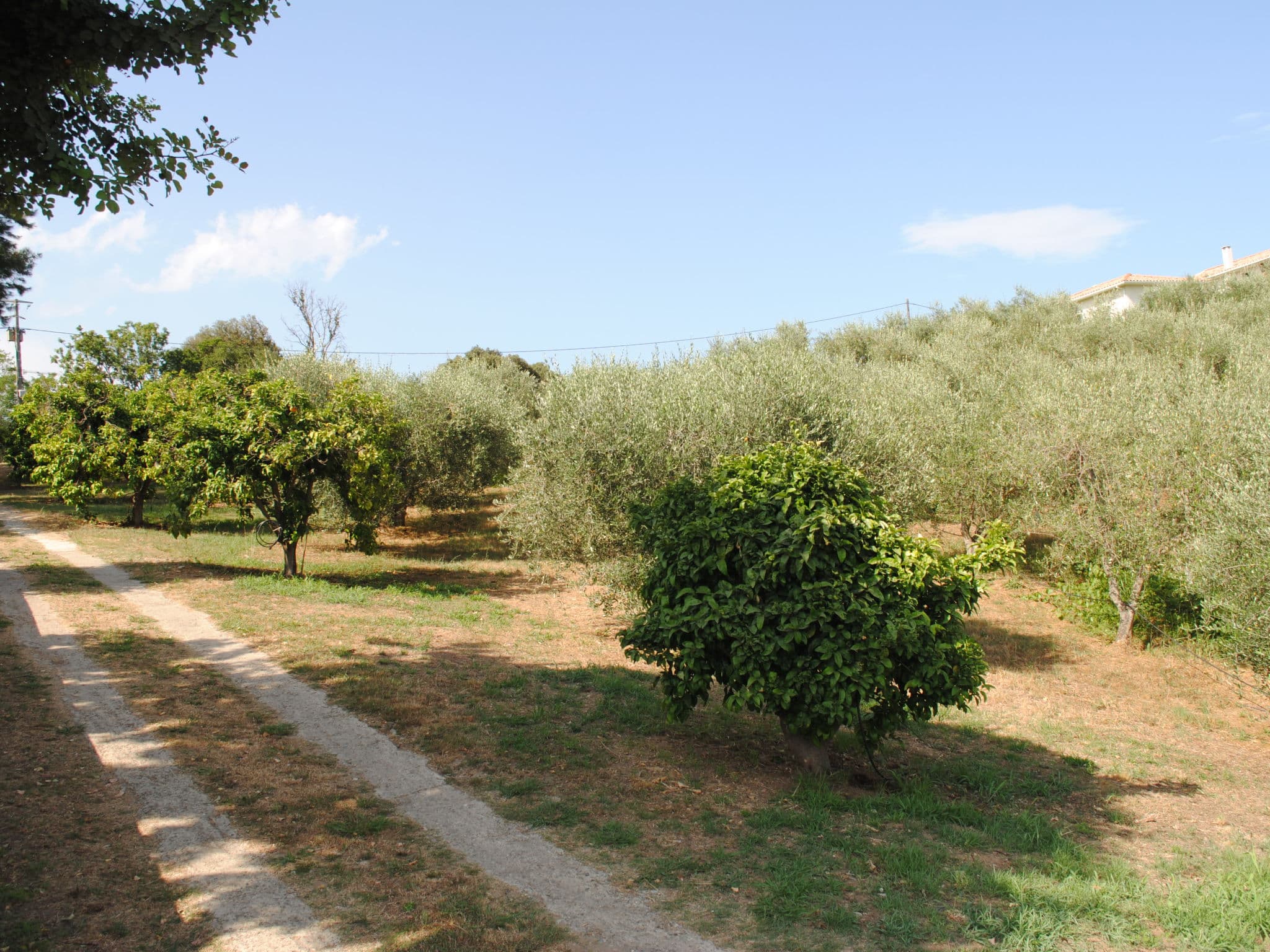 Outdoor