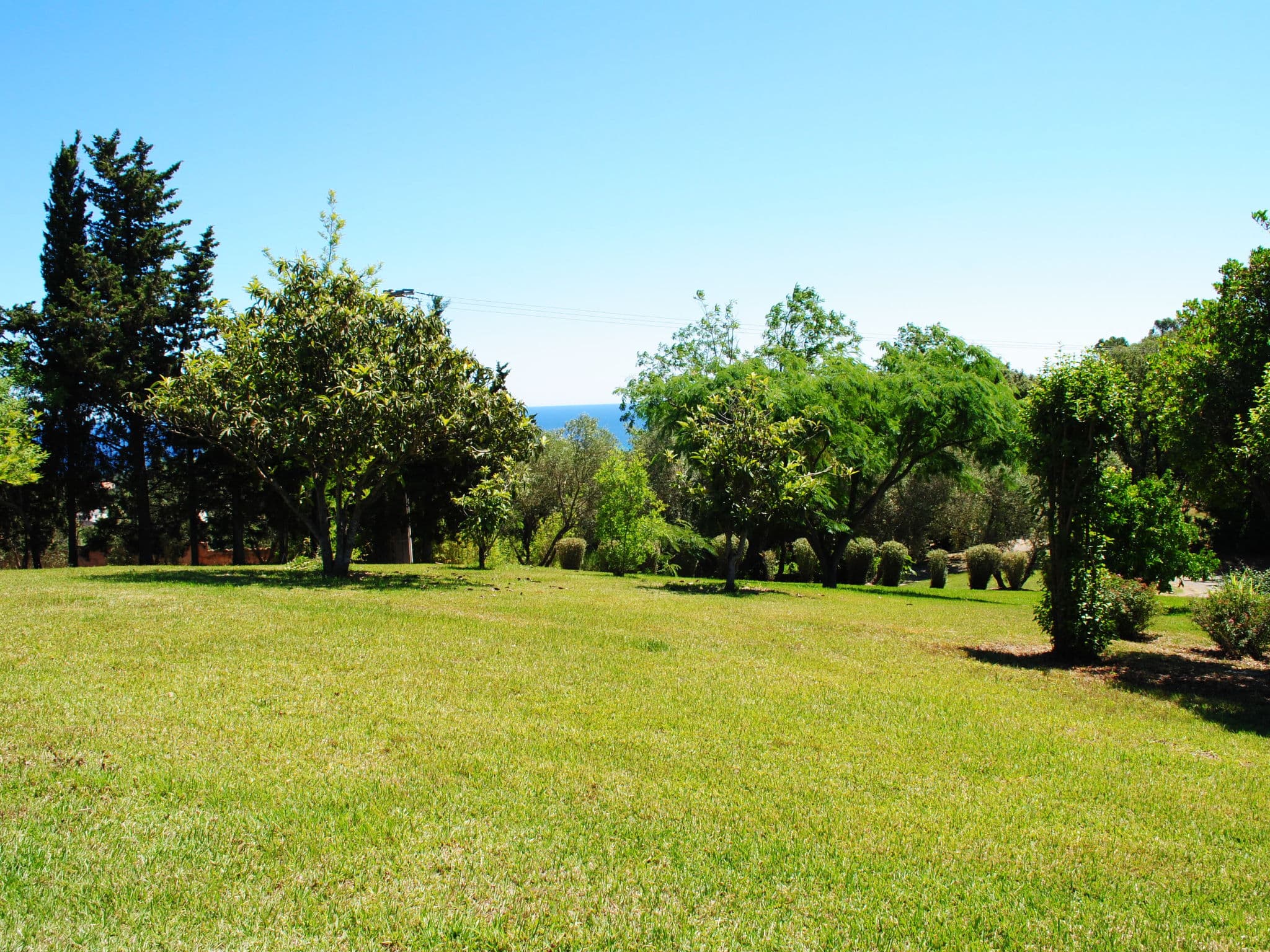 Outdoor