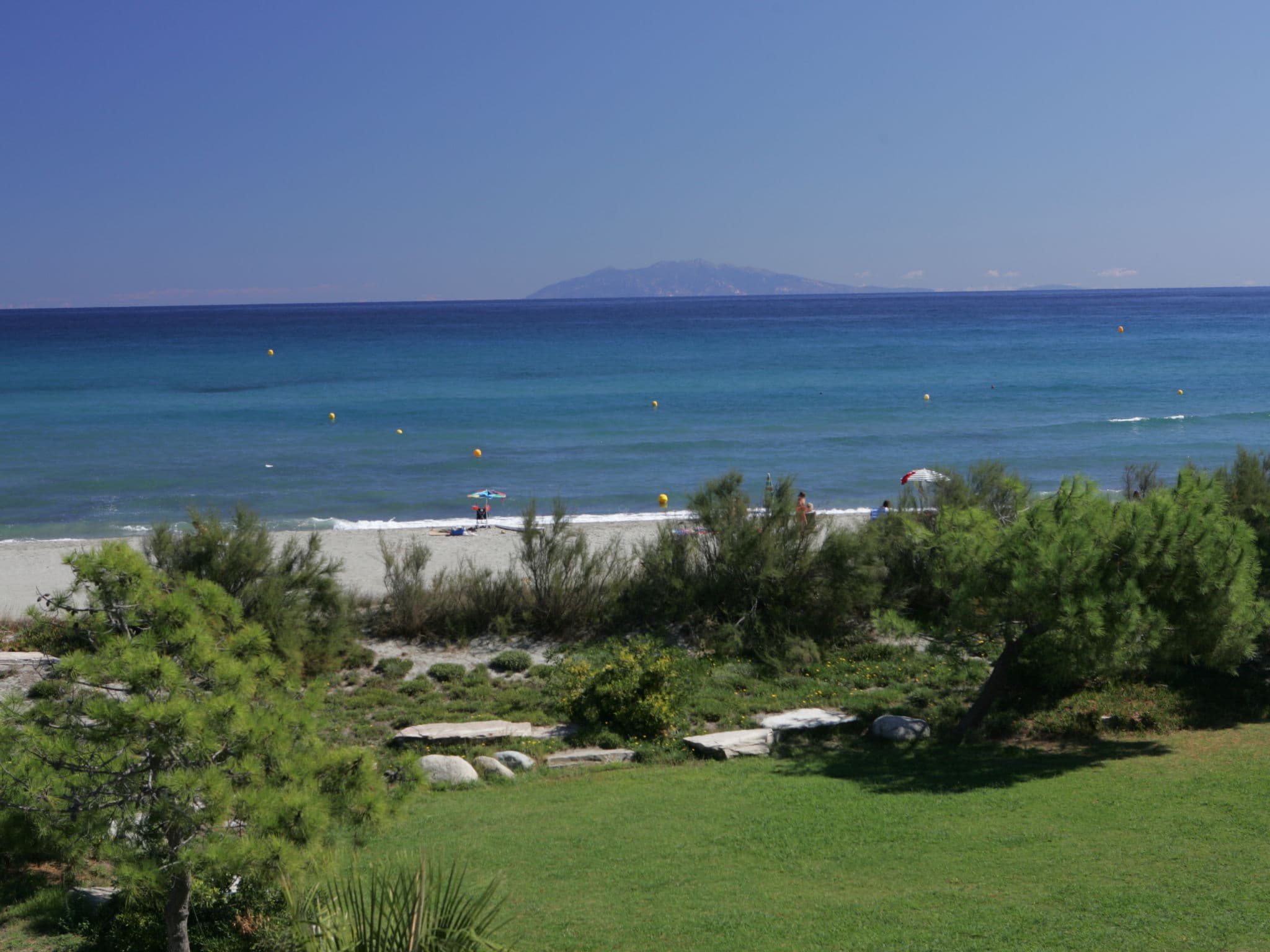 View