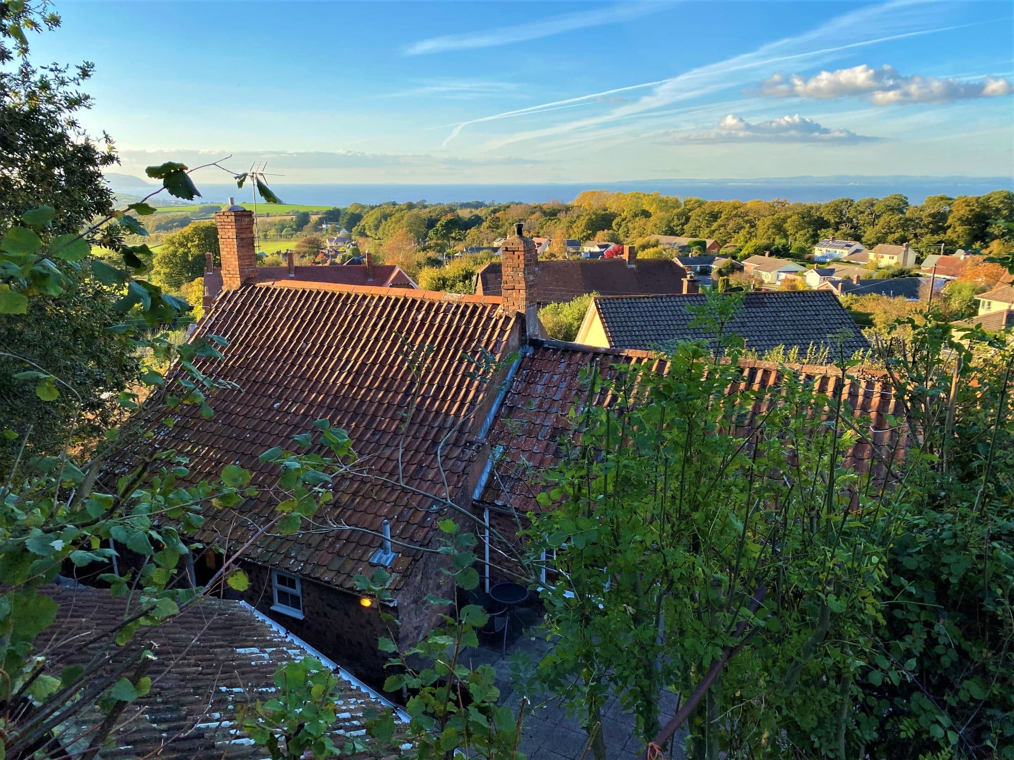 View