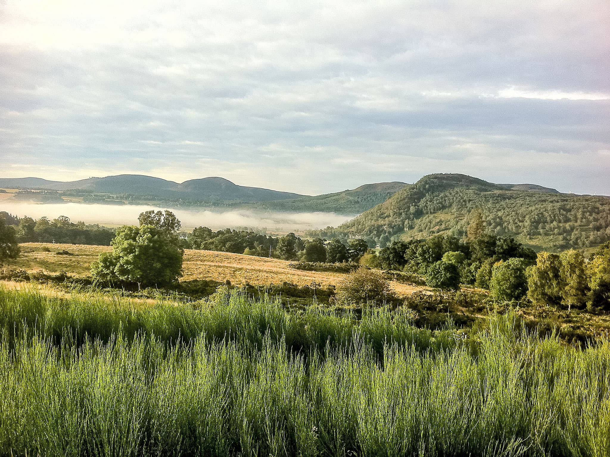 Place