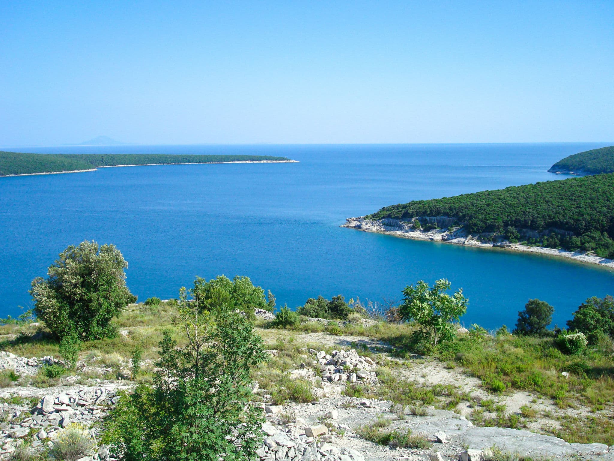 View