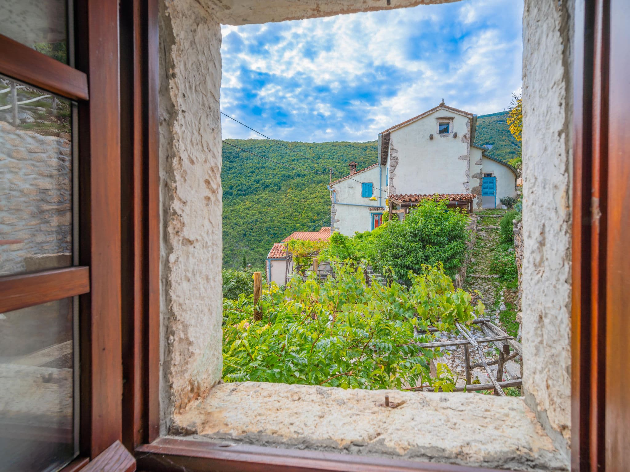 View