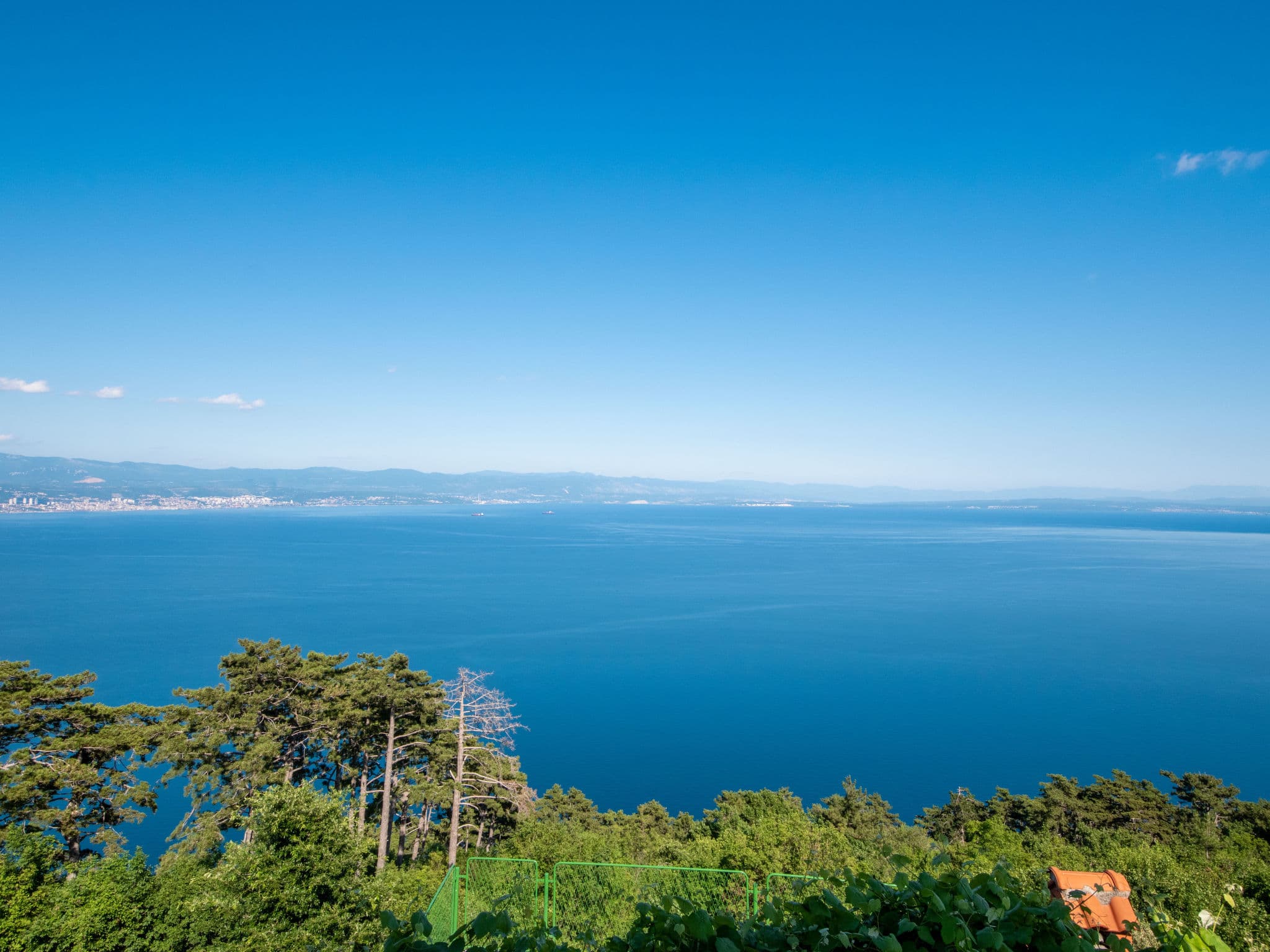 View
