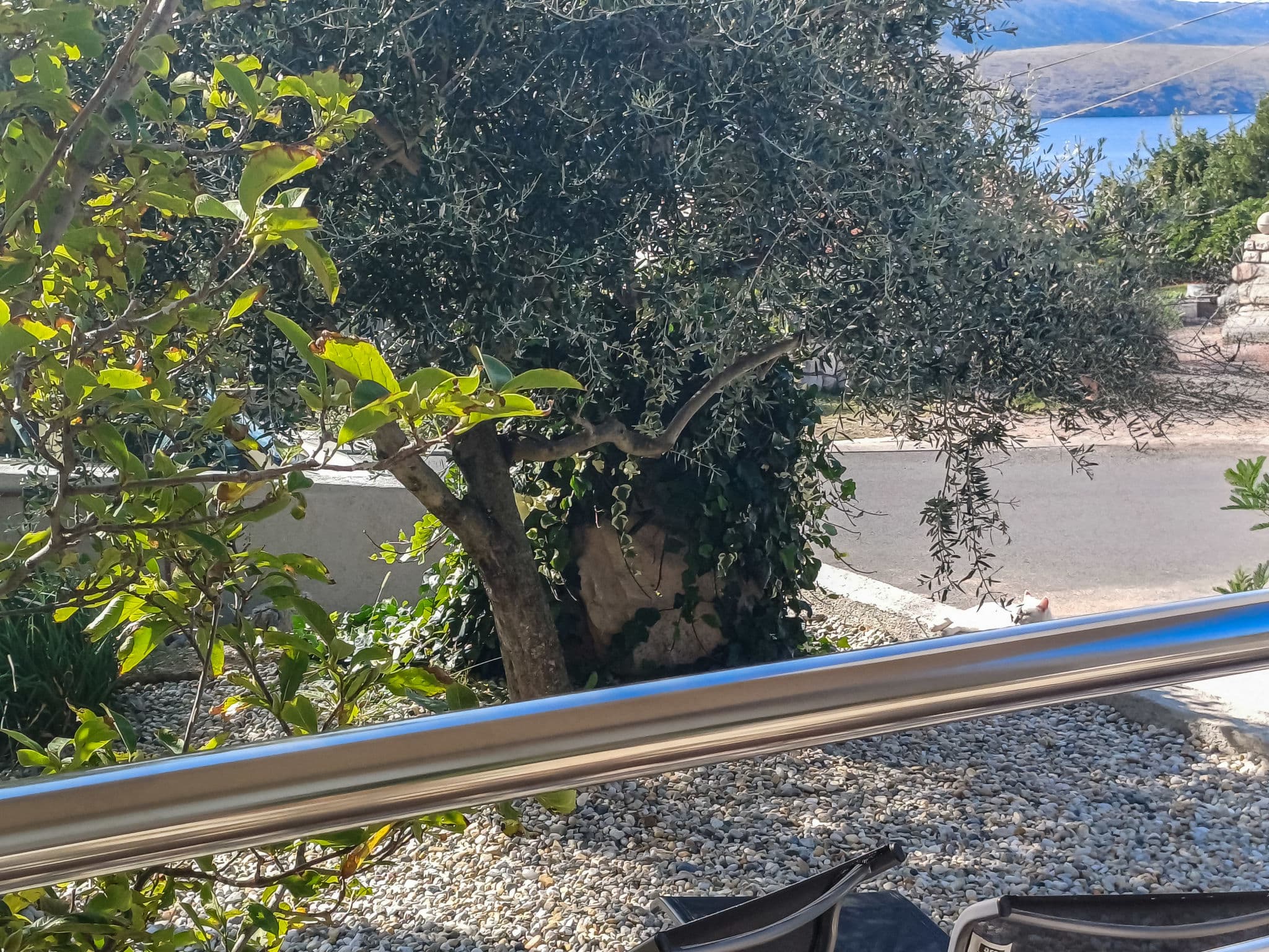Outdoor