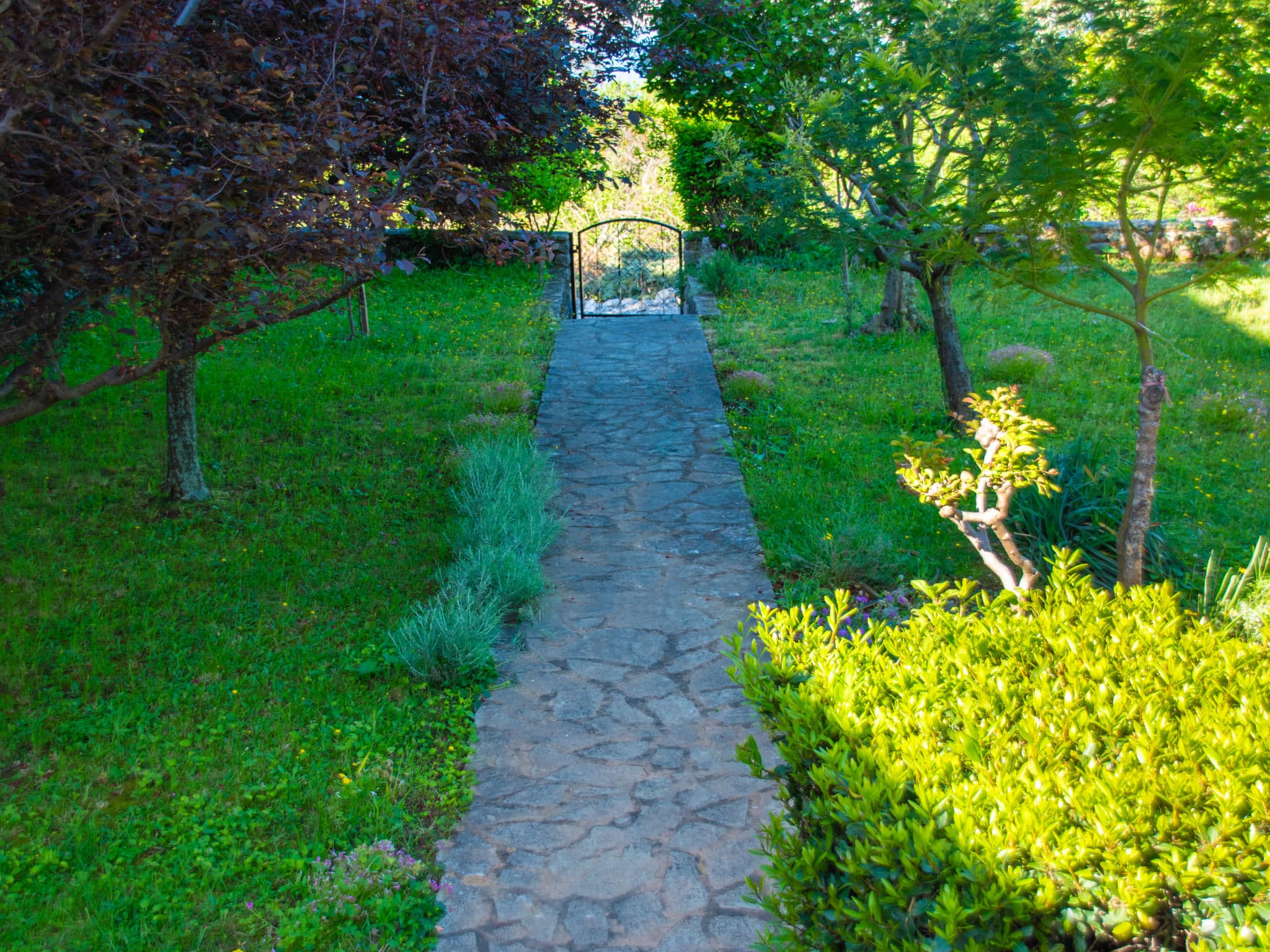 Outdoor