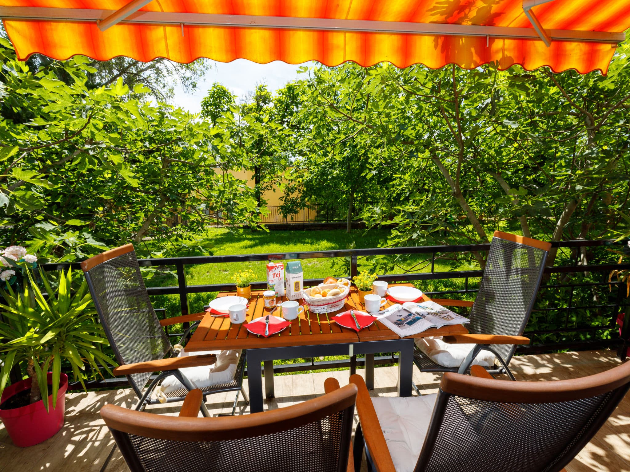 Terrace
