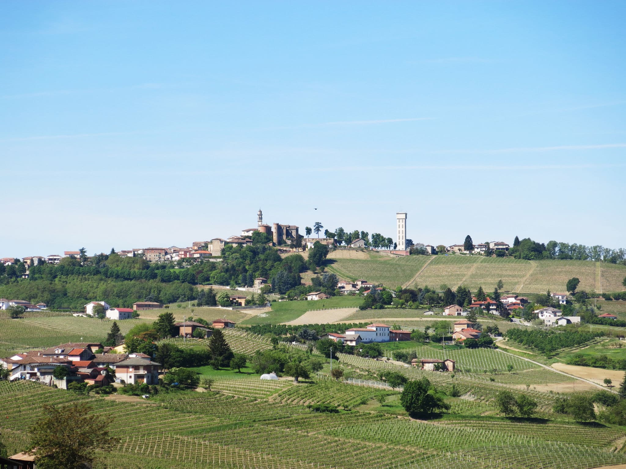 View