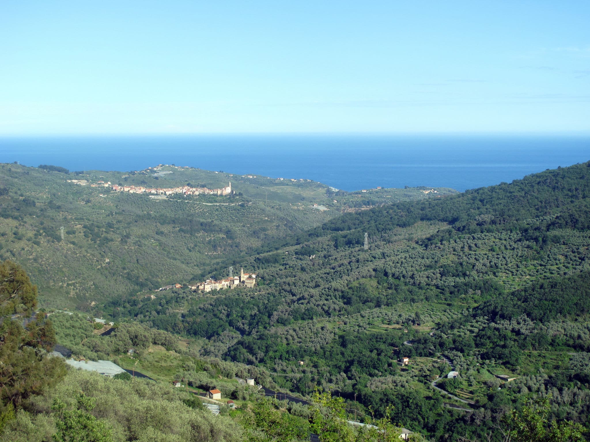View