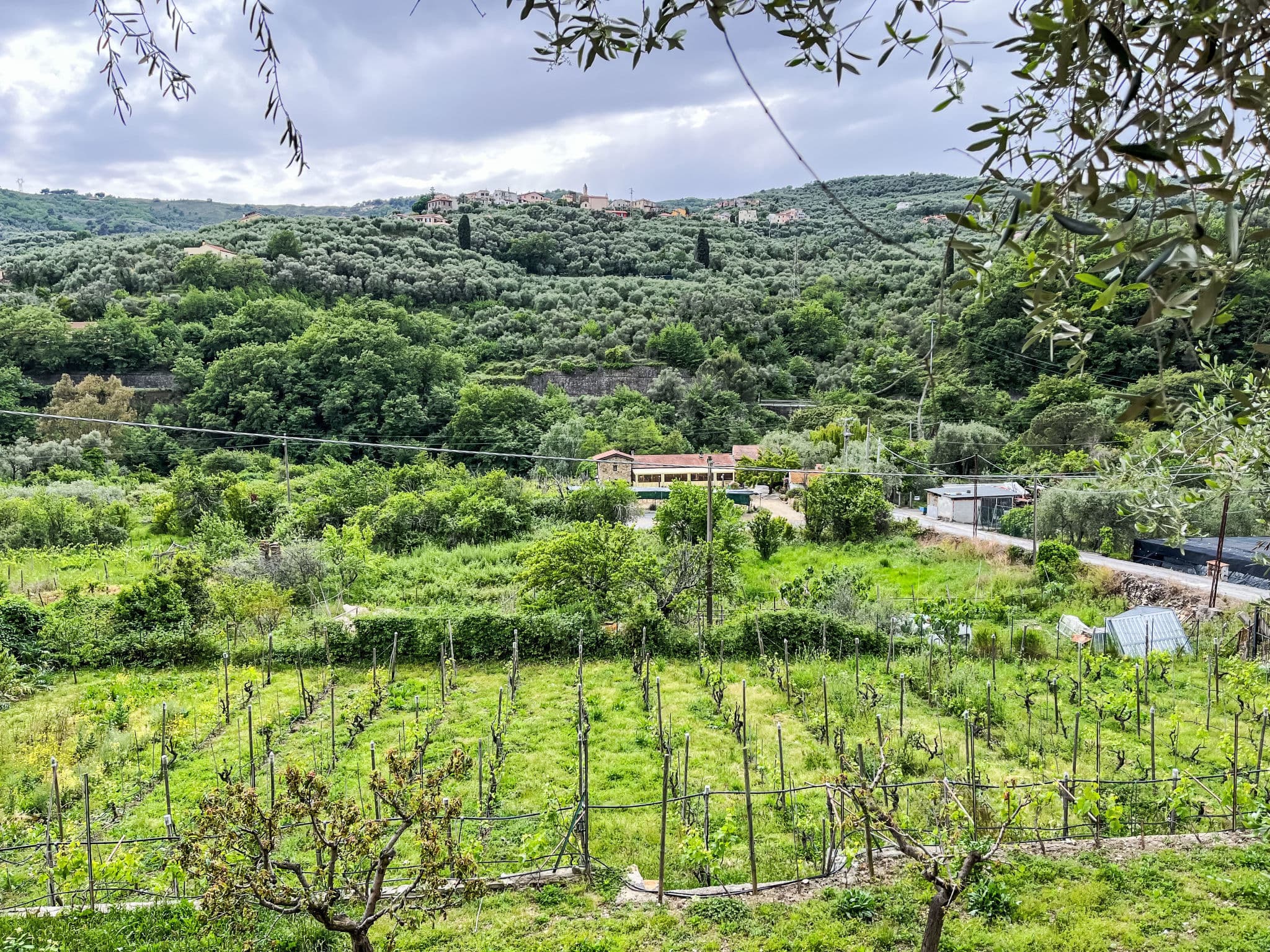 View