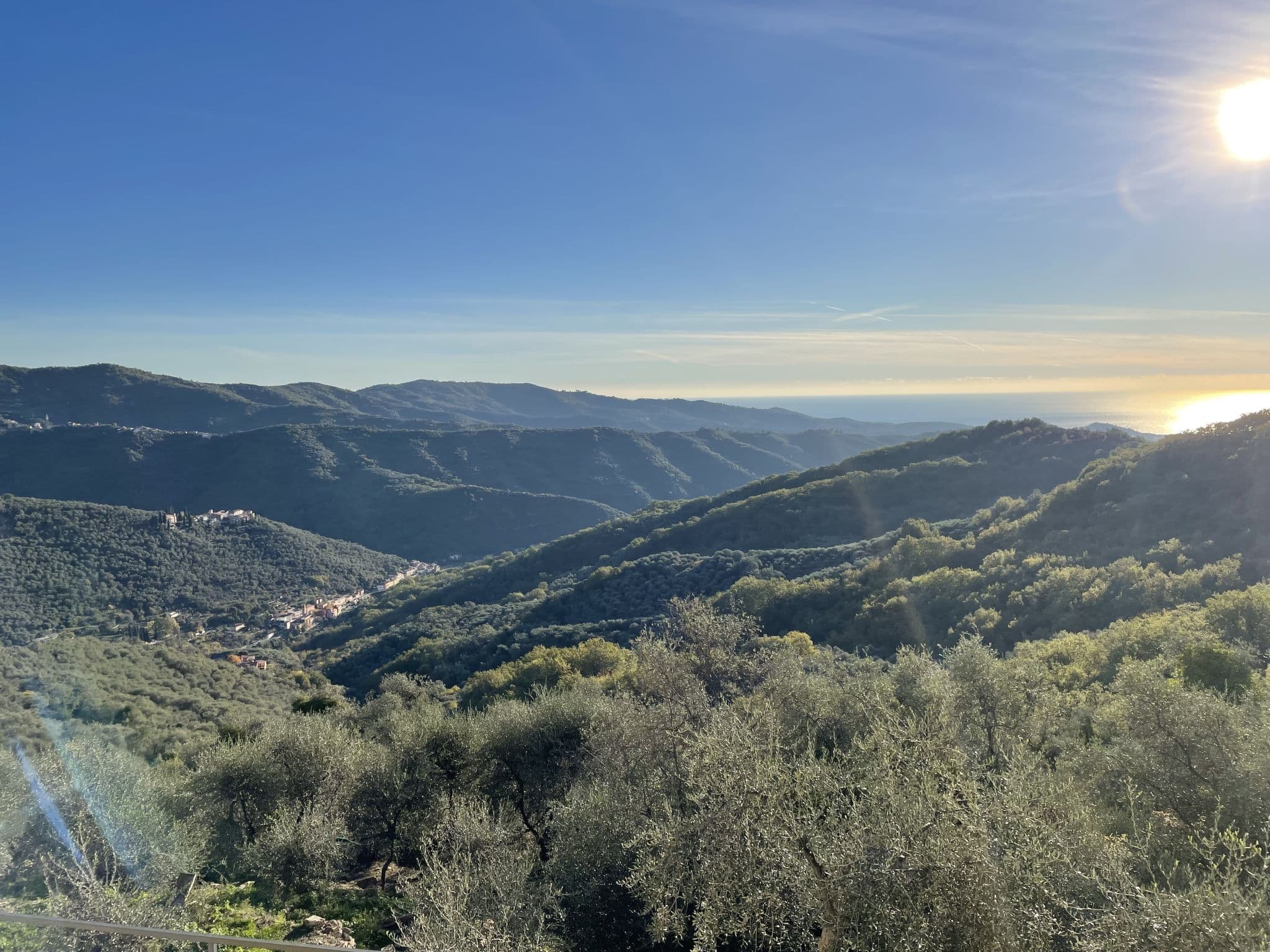 View