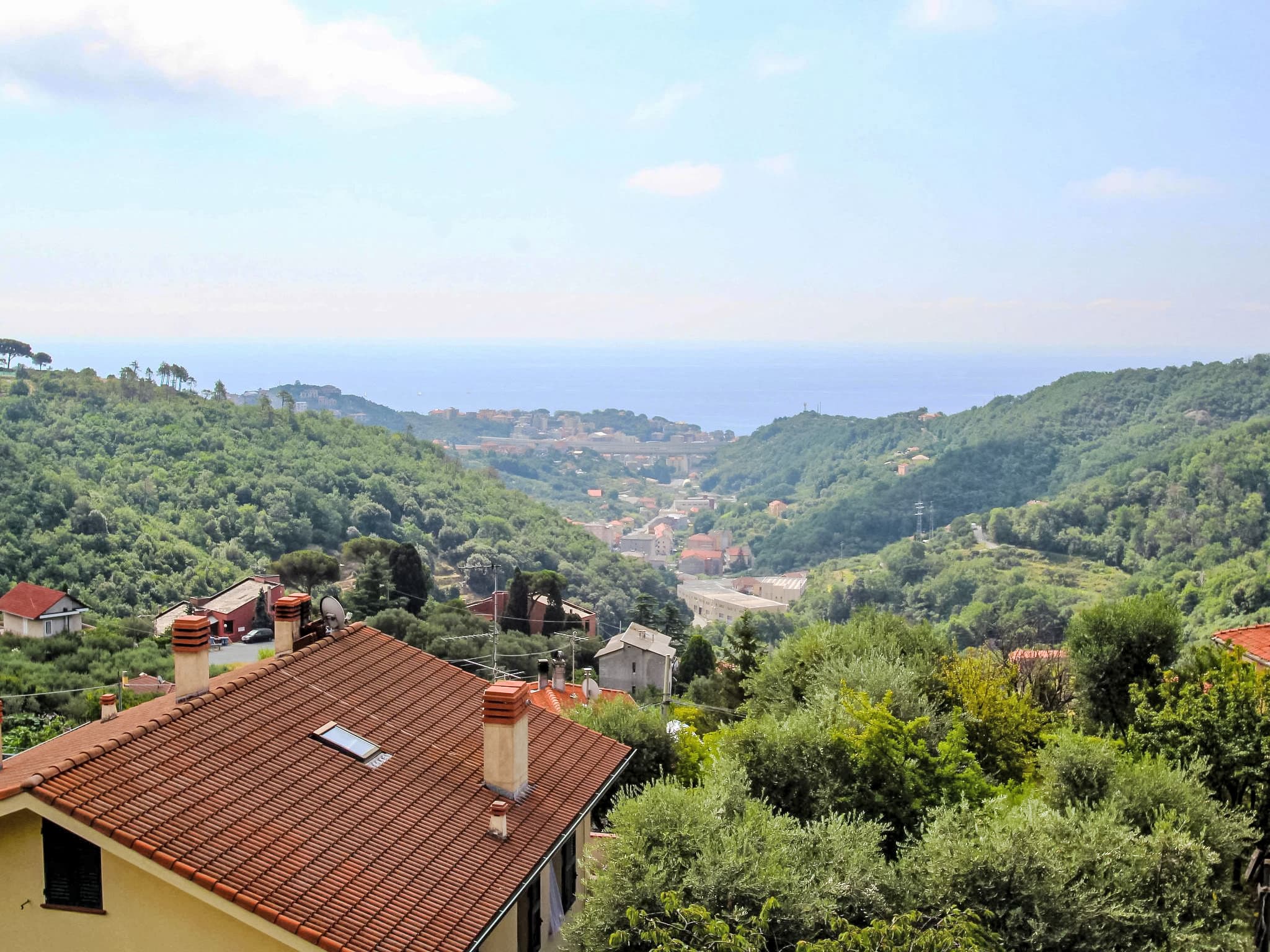 View