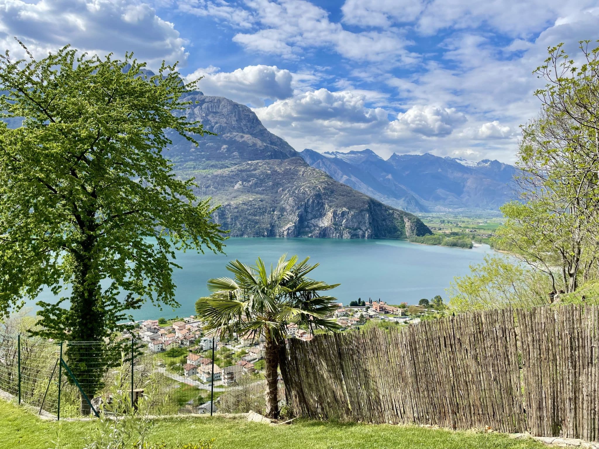 View
