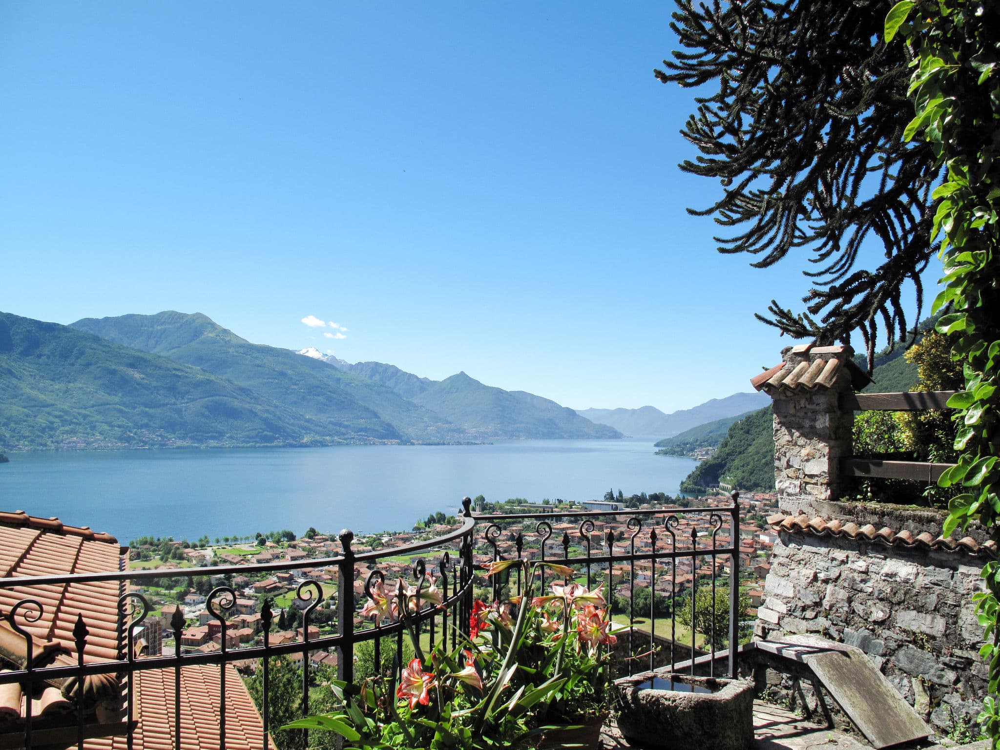 View