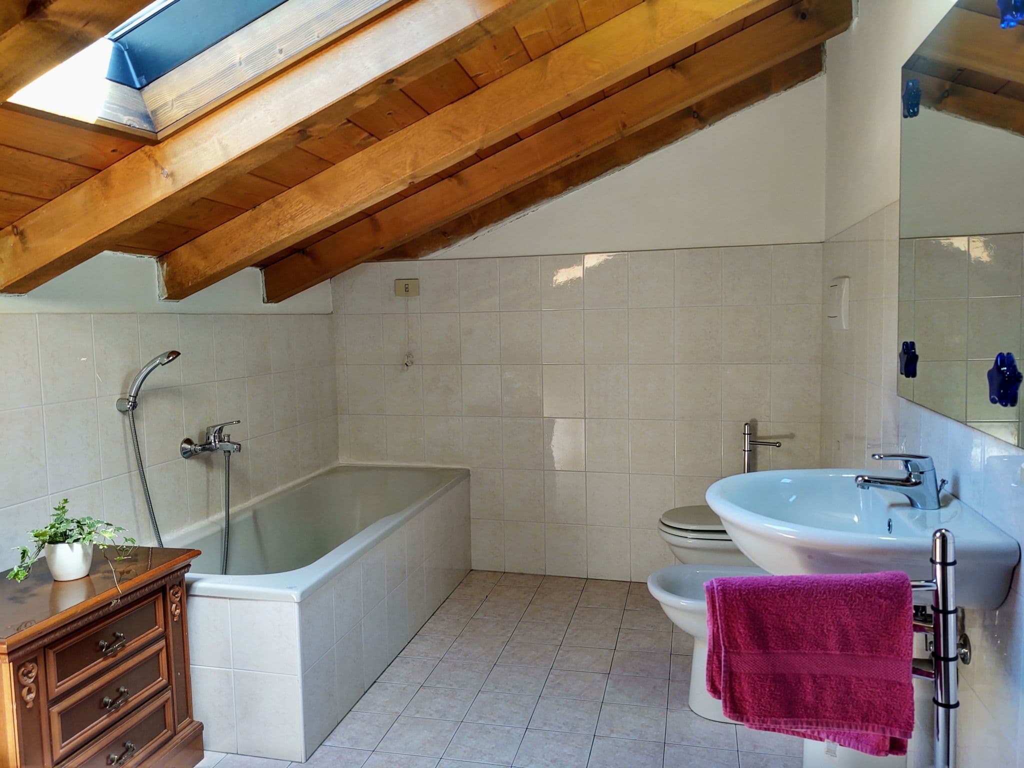 Bathroom / Wellness