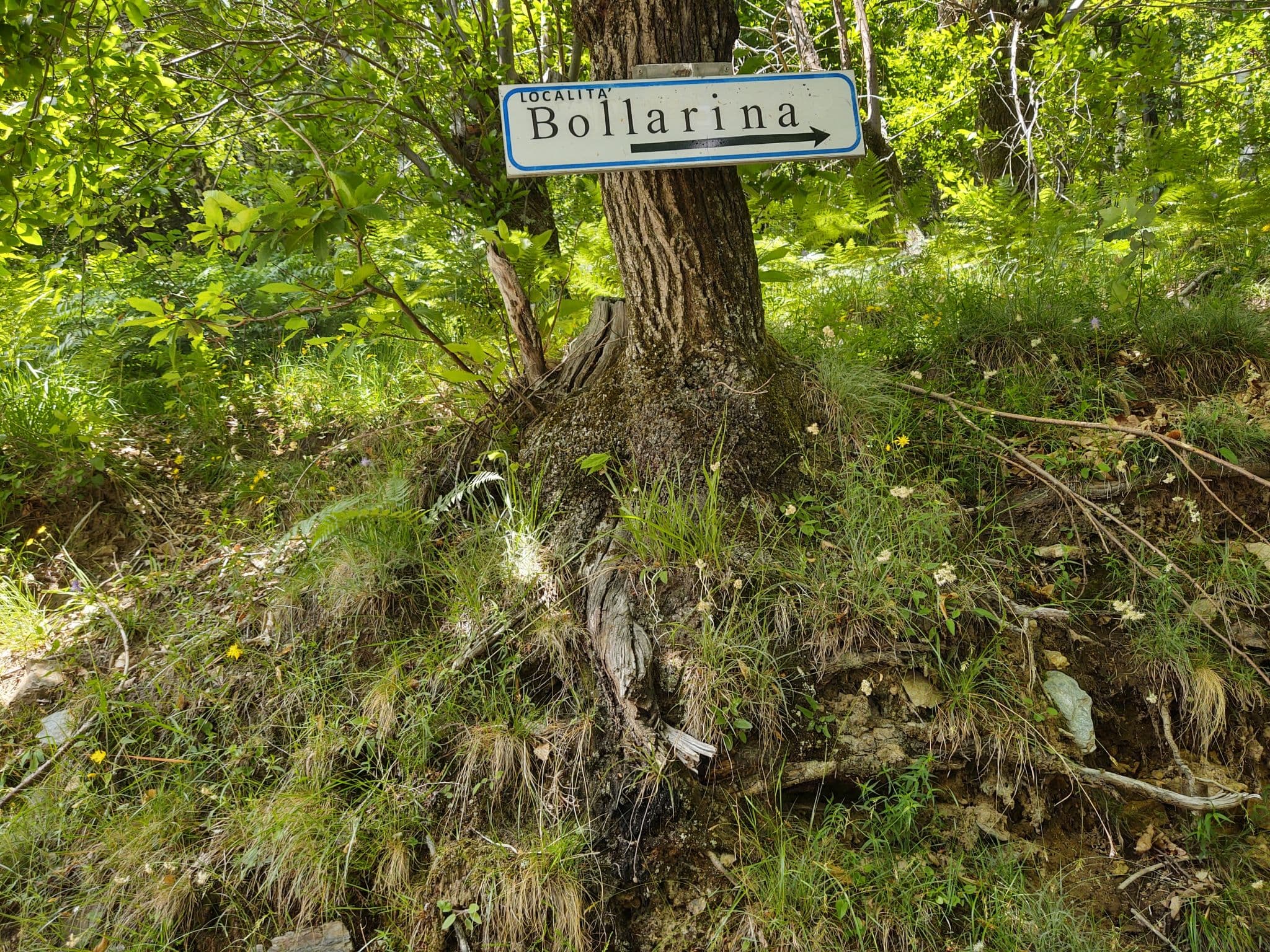 Place