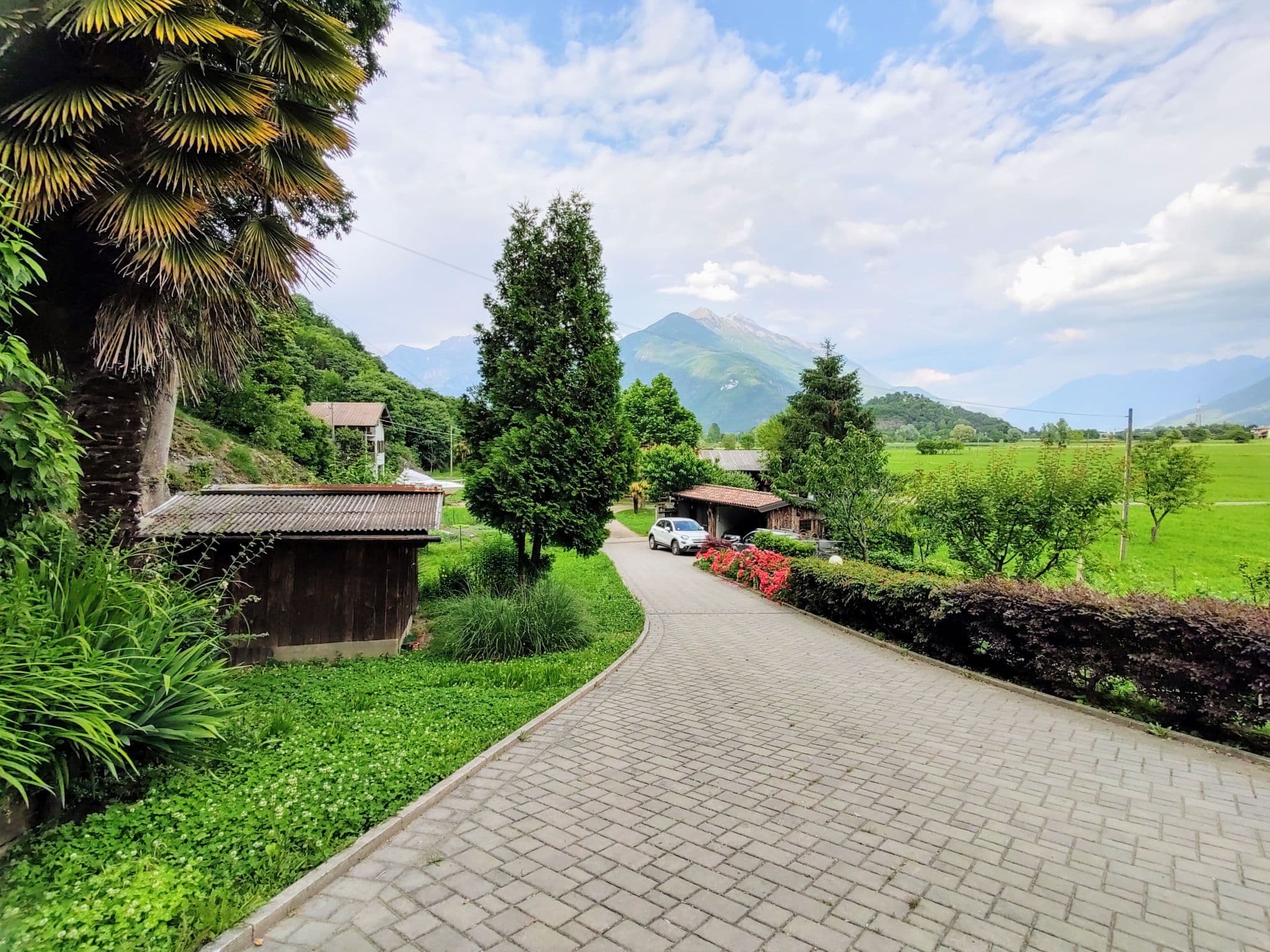 View