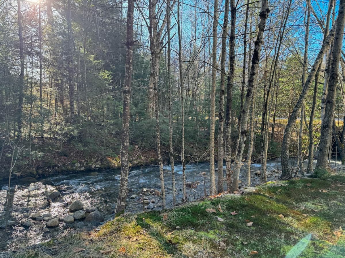 Gallery Image 56
