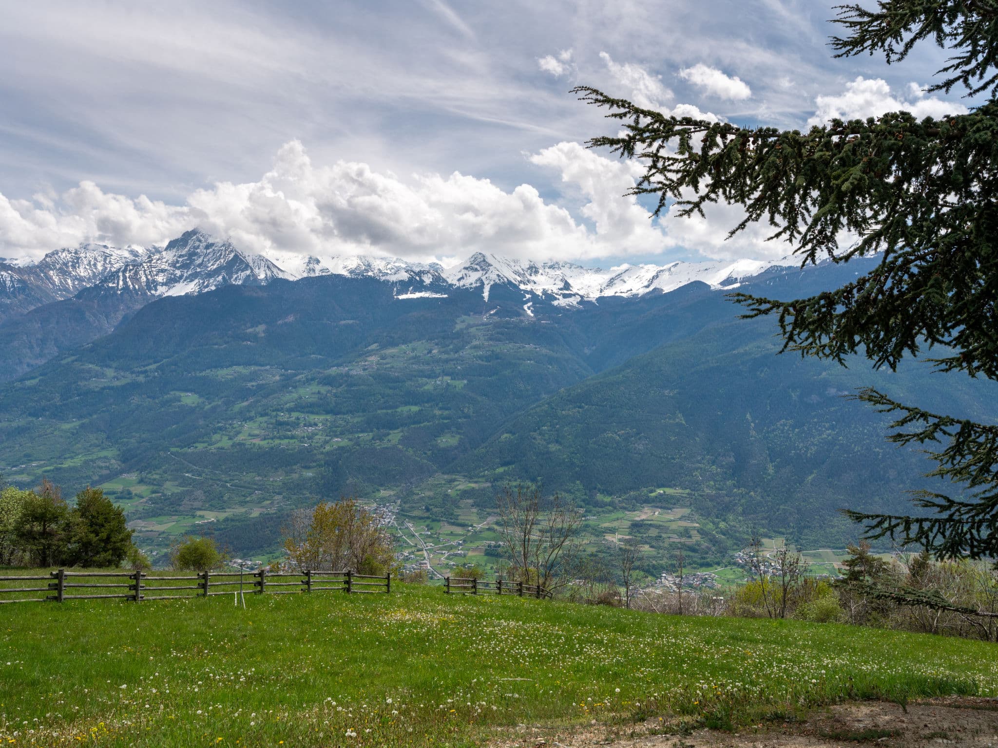 View