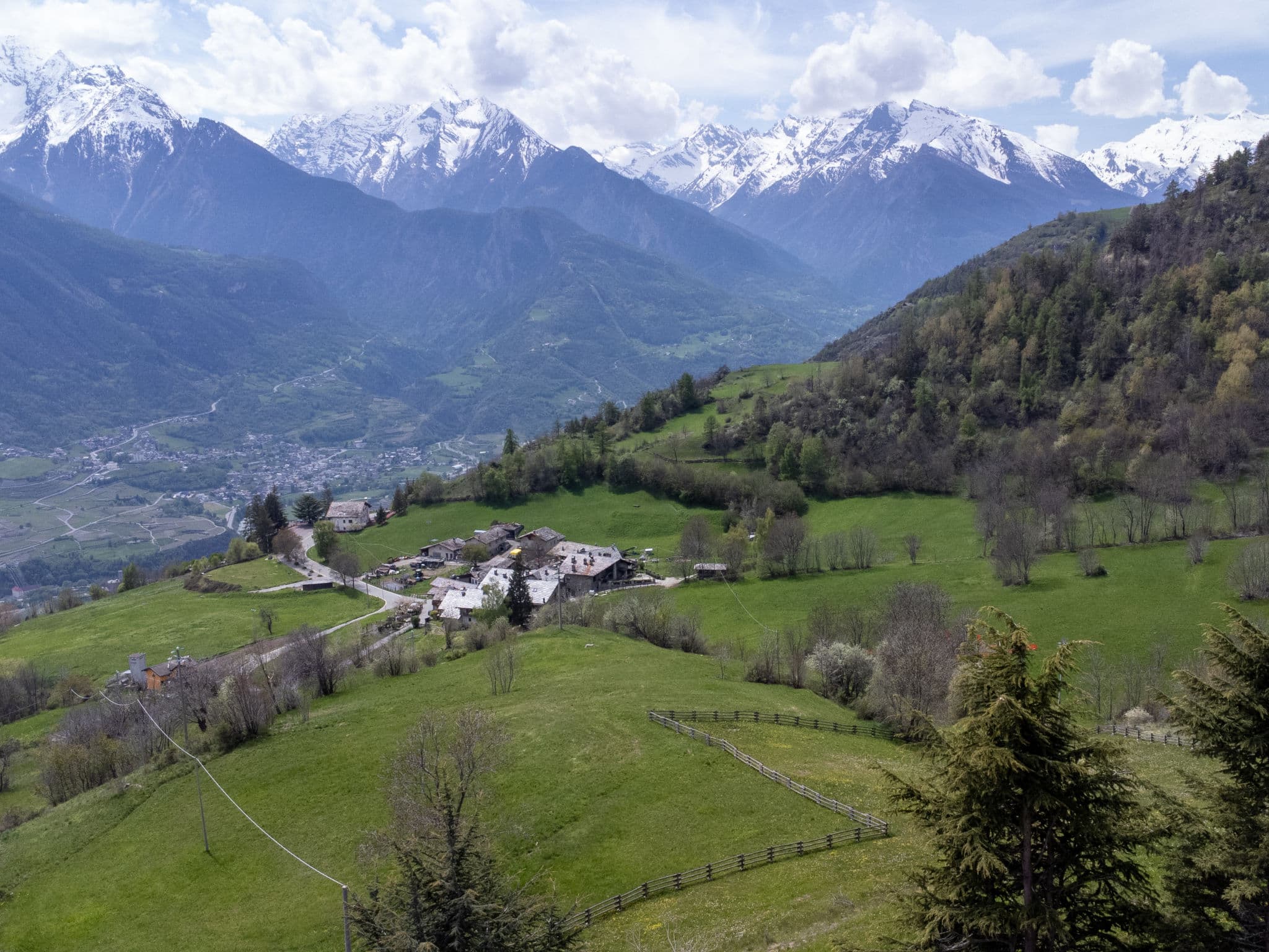 View