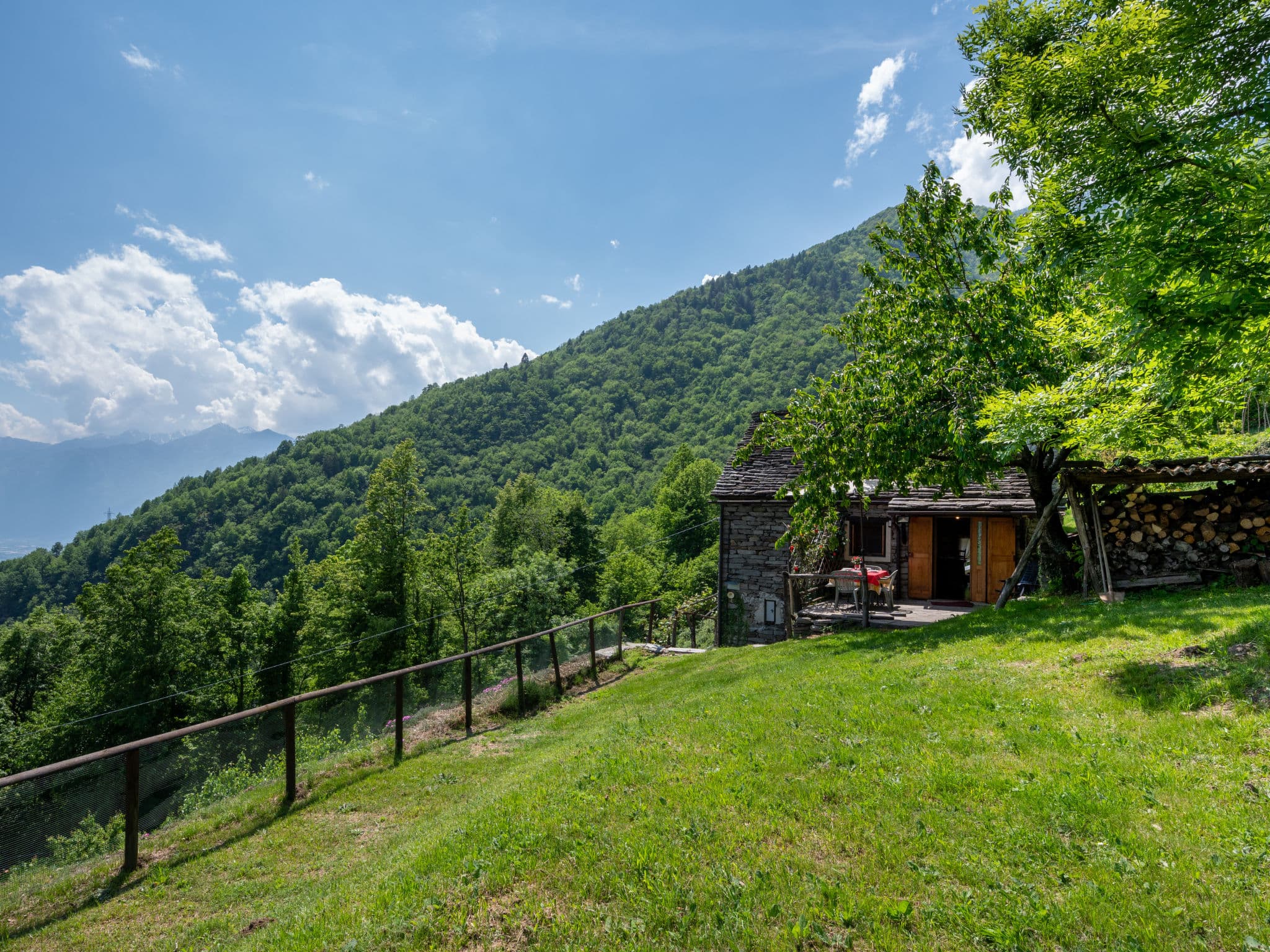 View