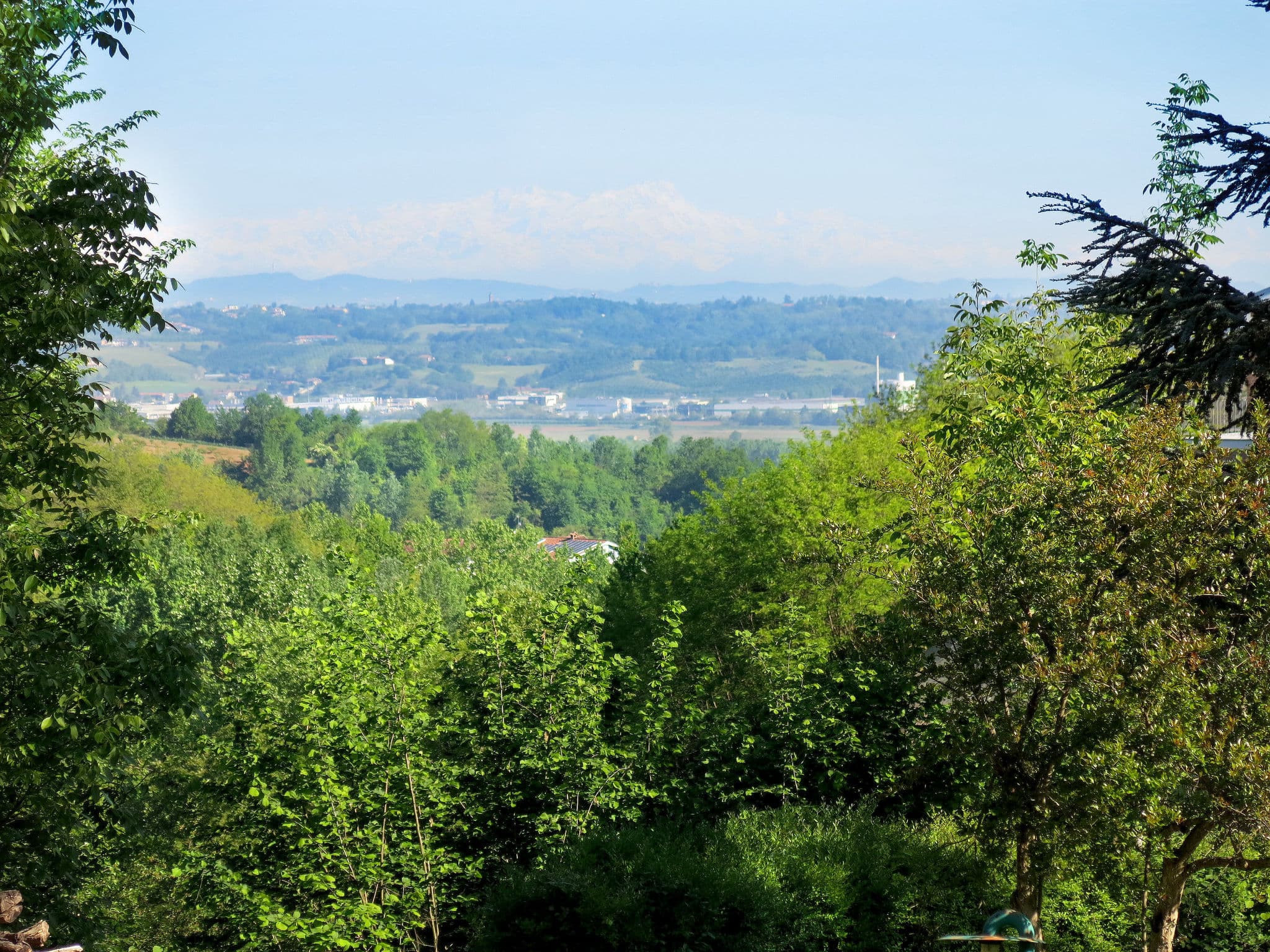 View