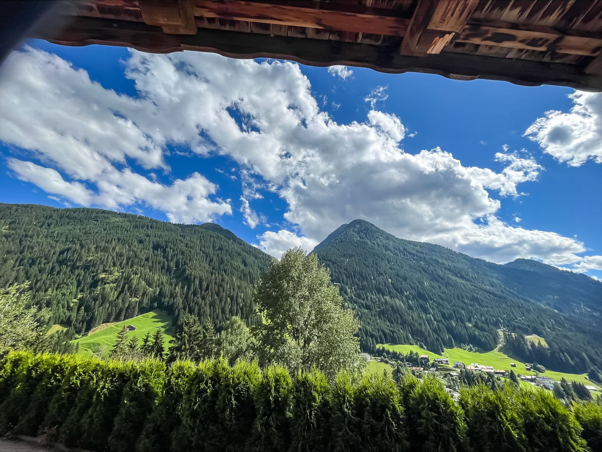 View