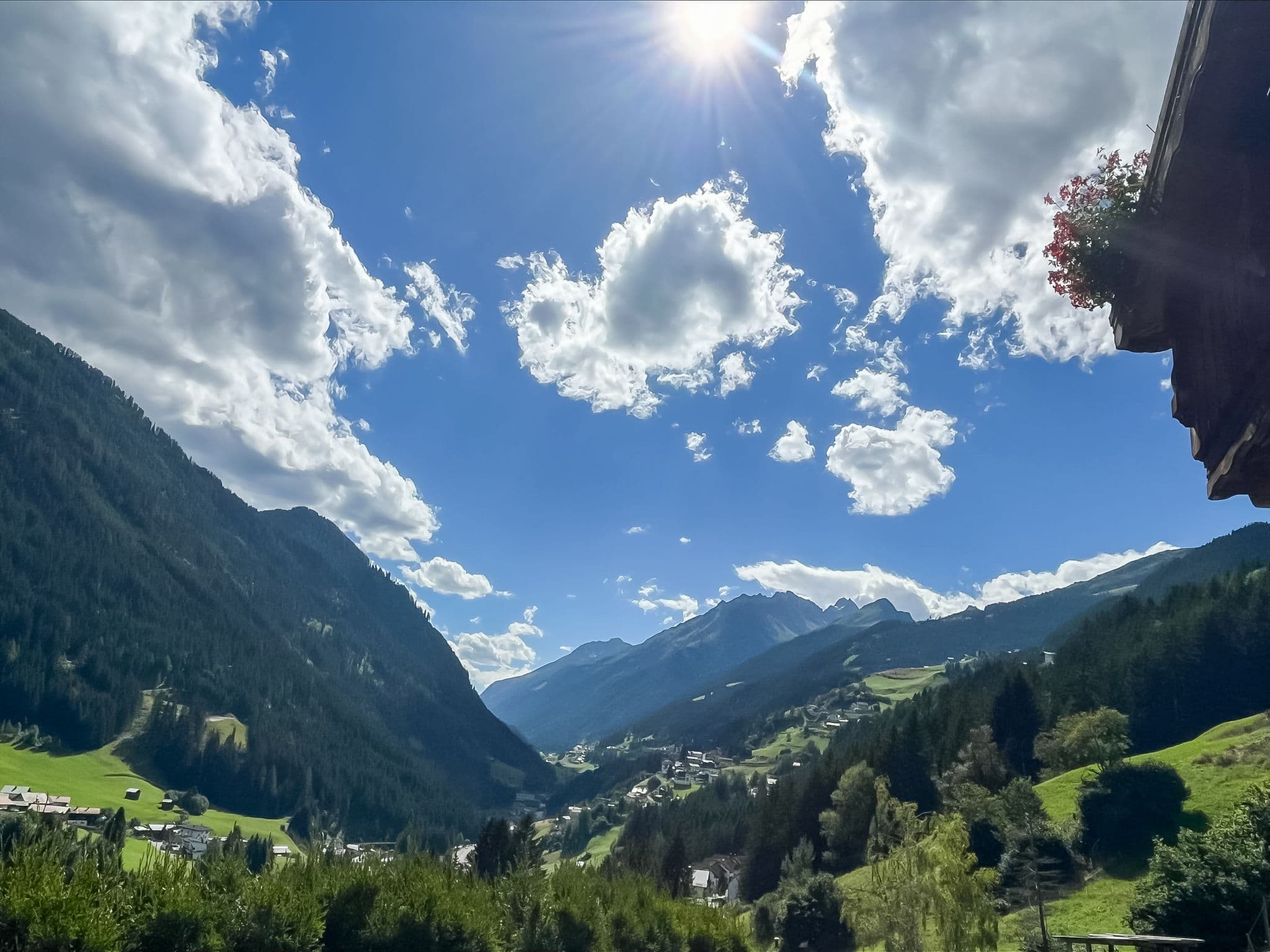 View