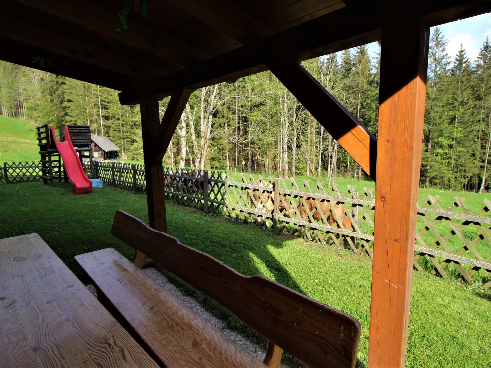 Outdoor