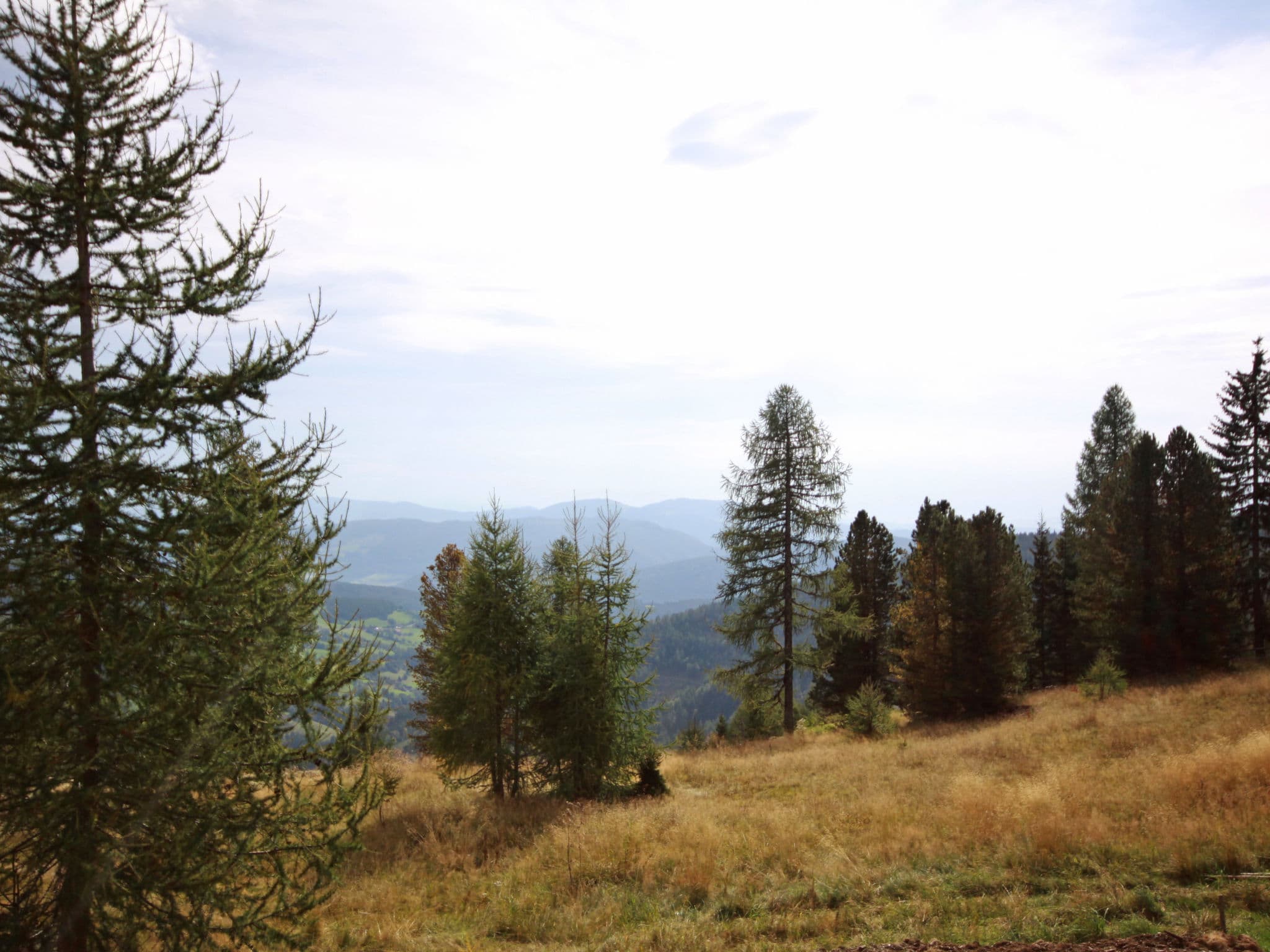 View