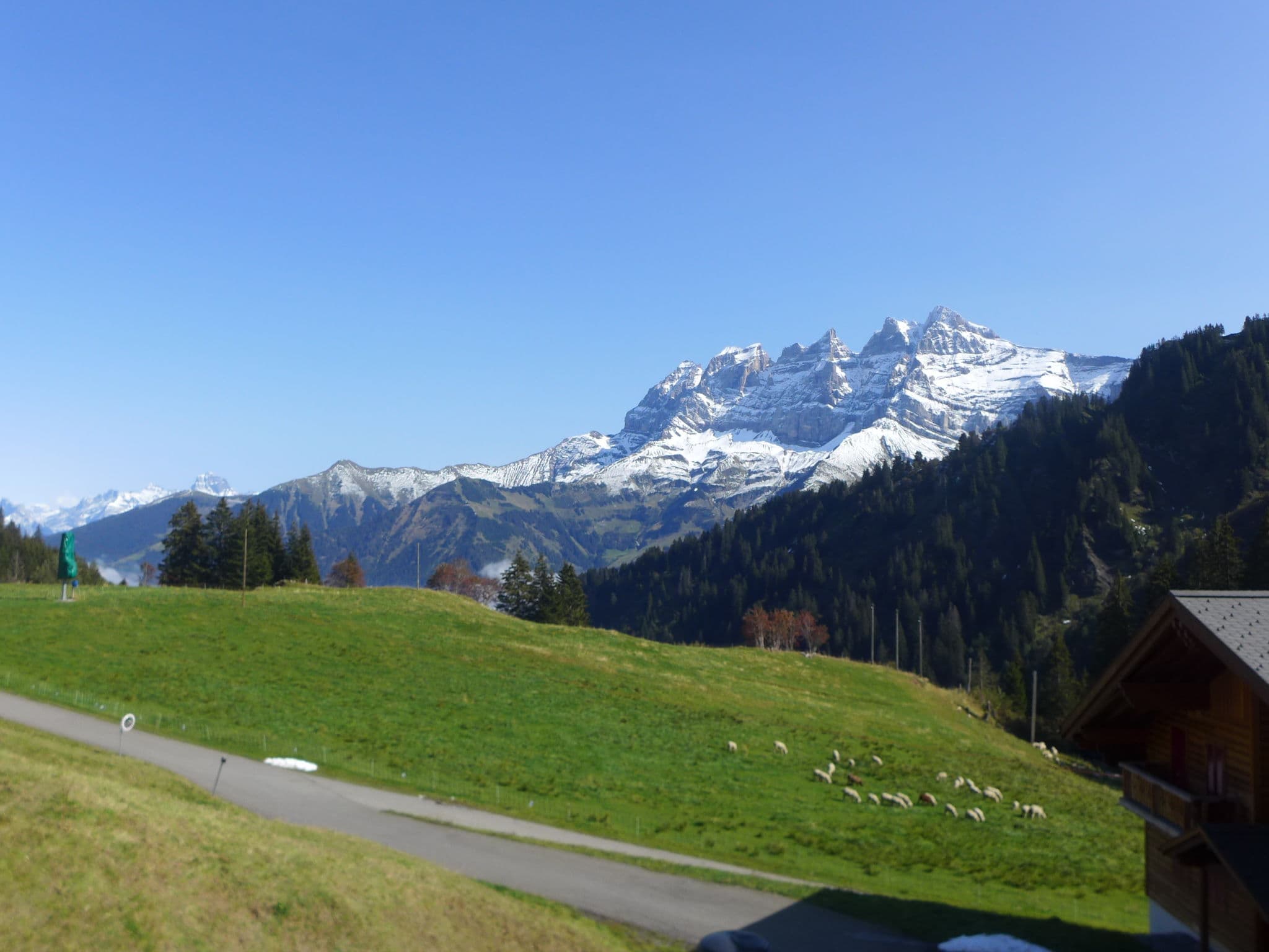 View