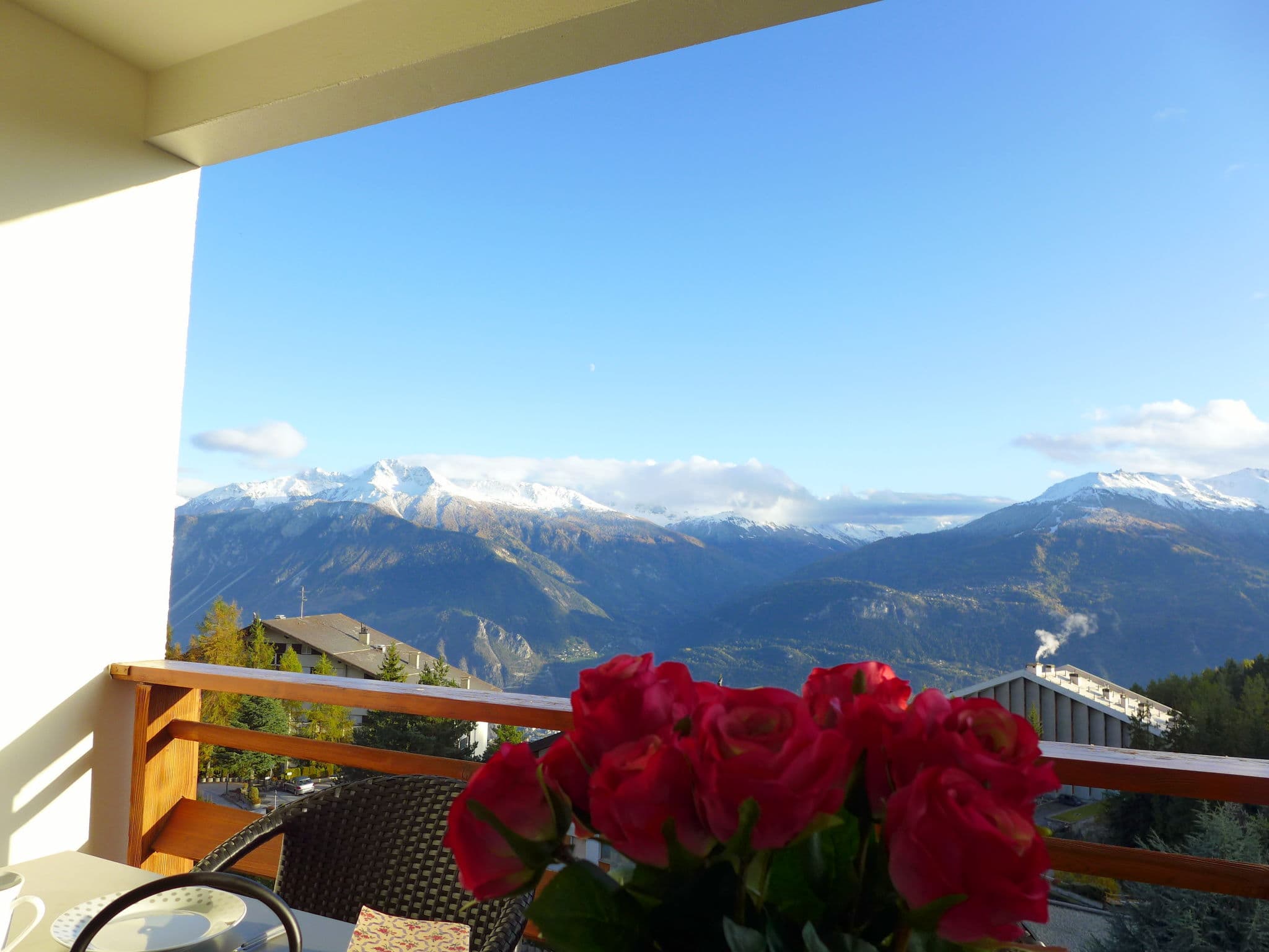 View