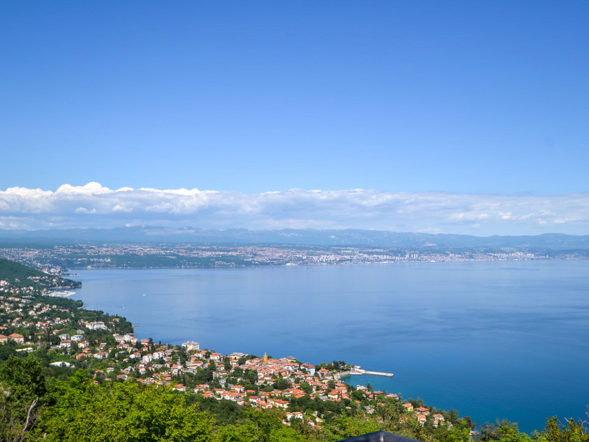 View