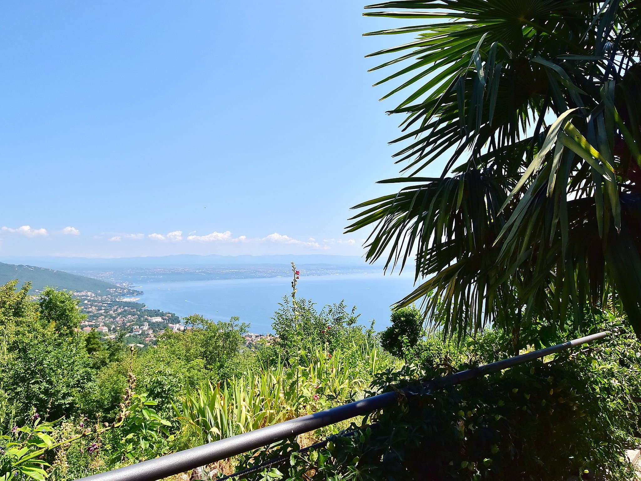 View