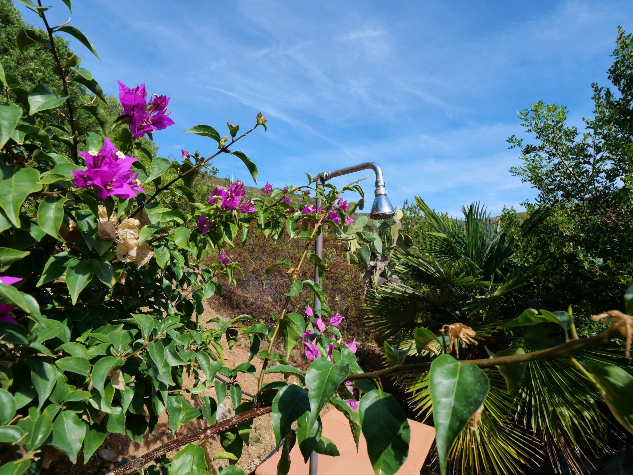 Outdoor
