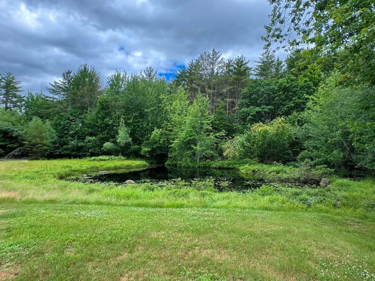 Gallery Image 65