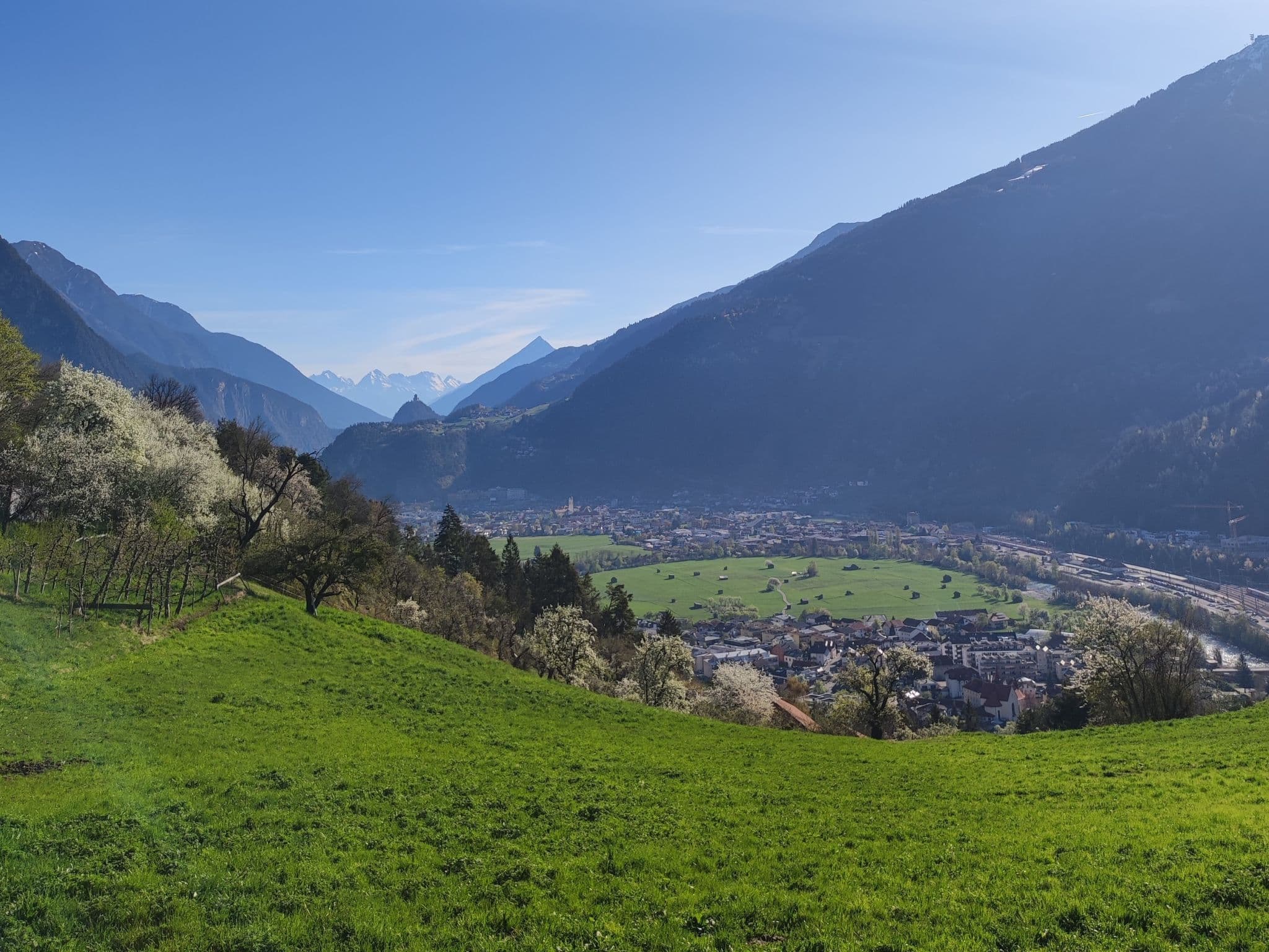 View