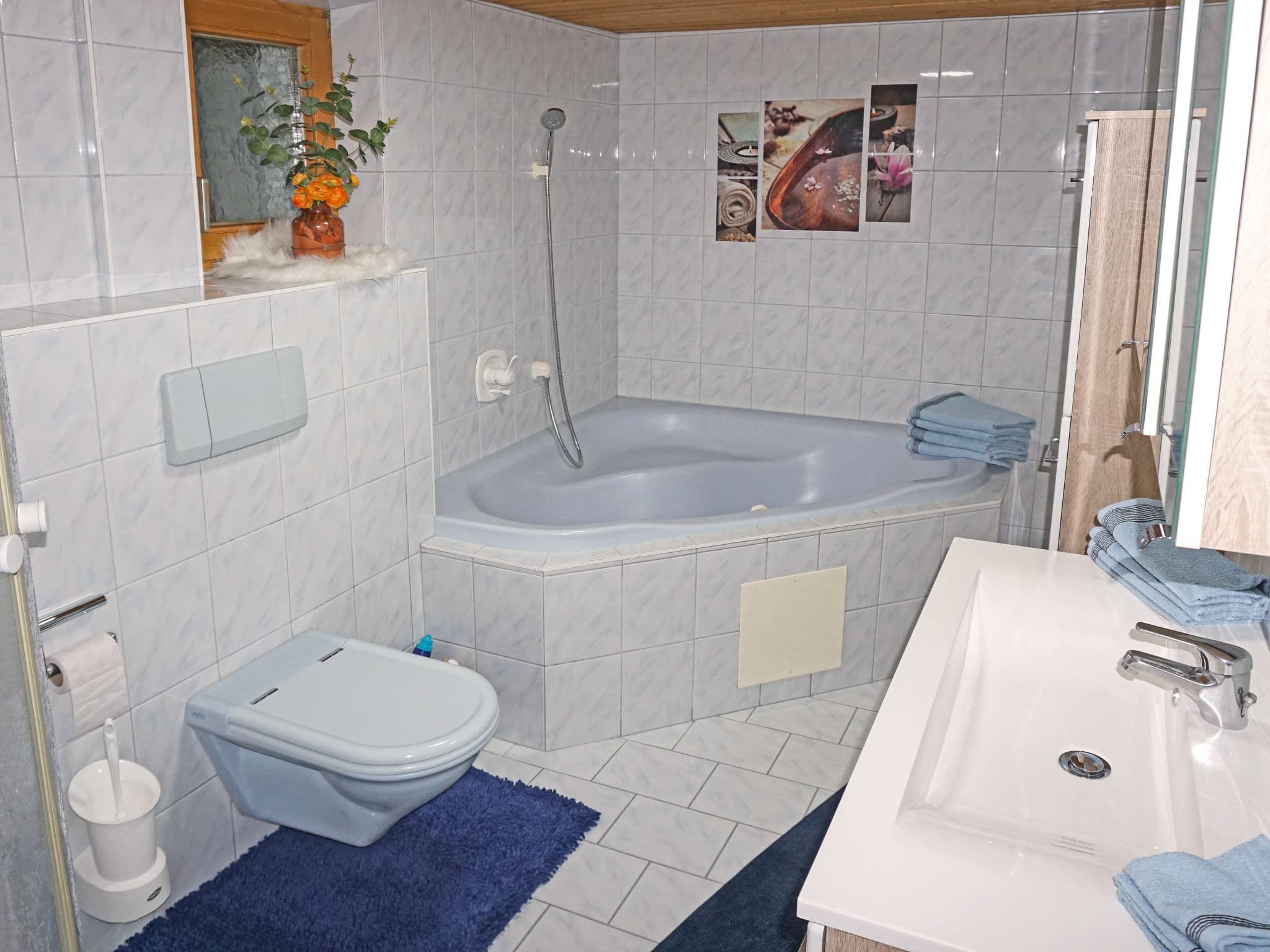 Bathroom / Wellness