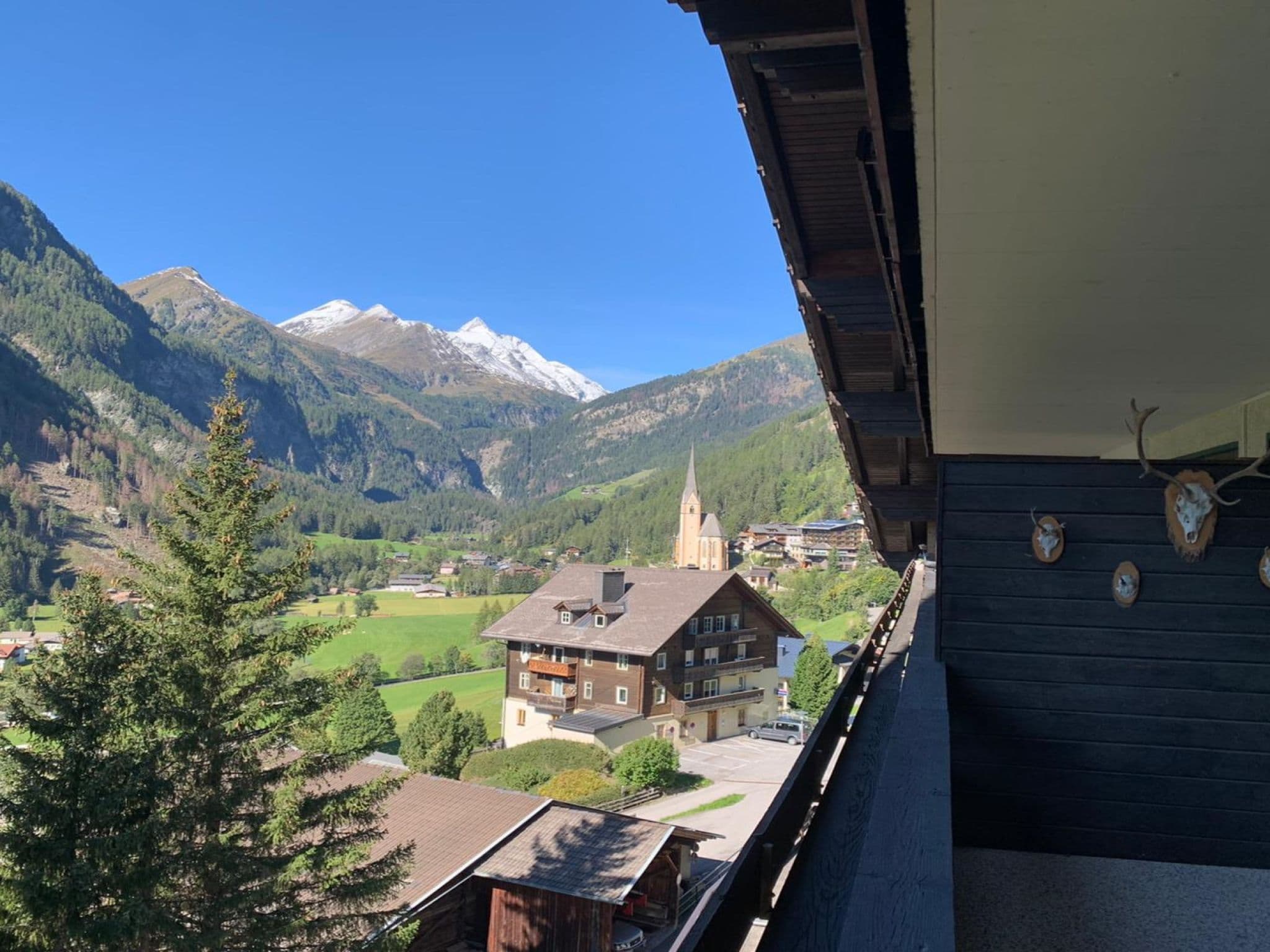 View