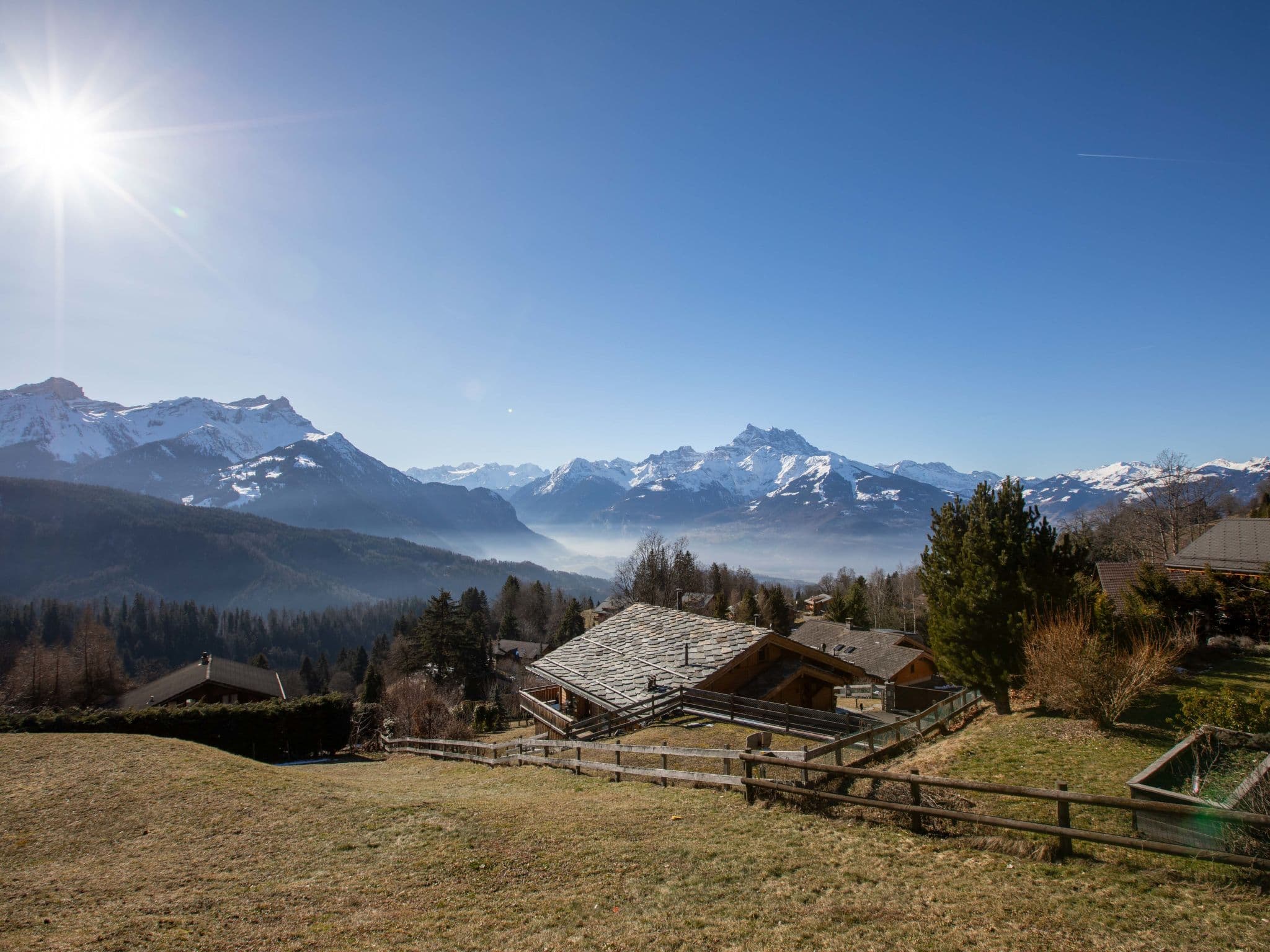 View