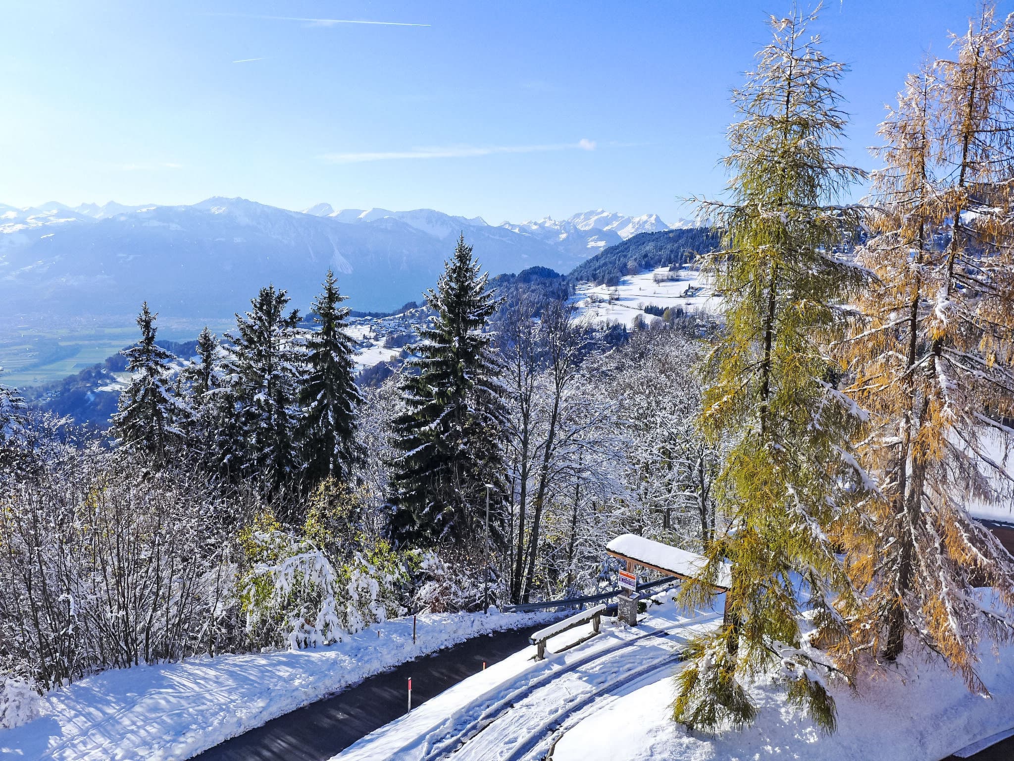 View