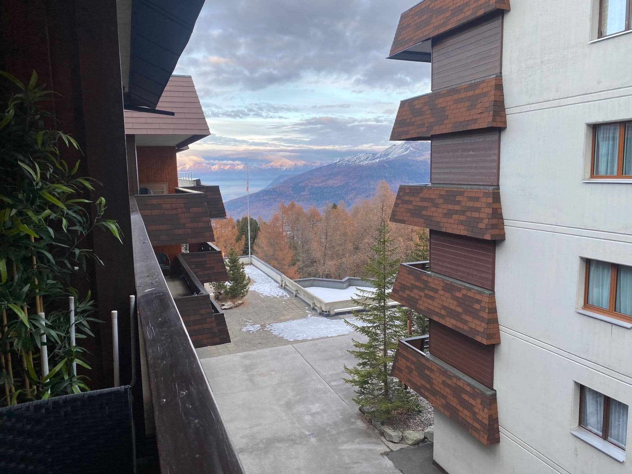 View