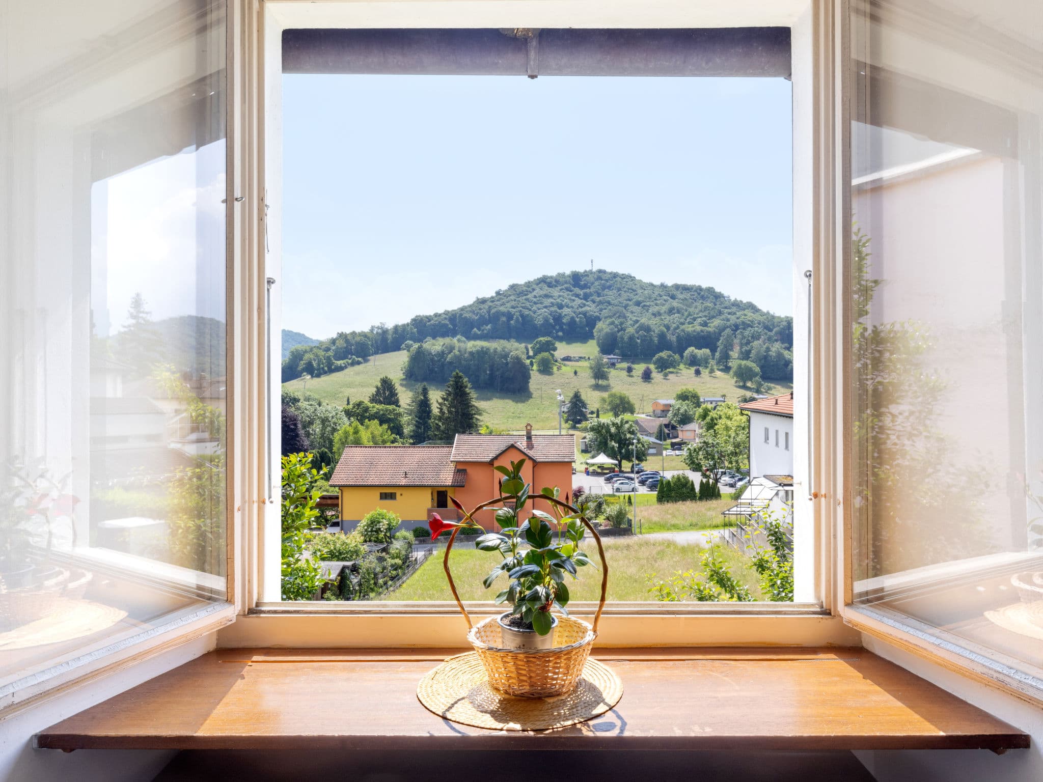 View