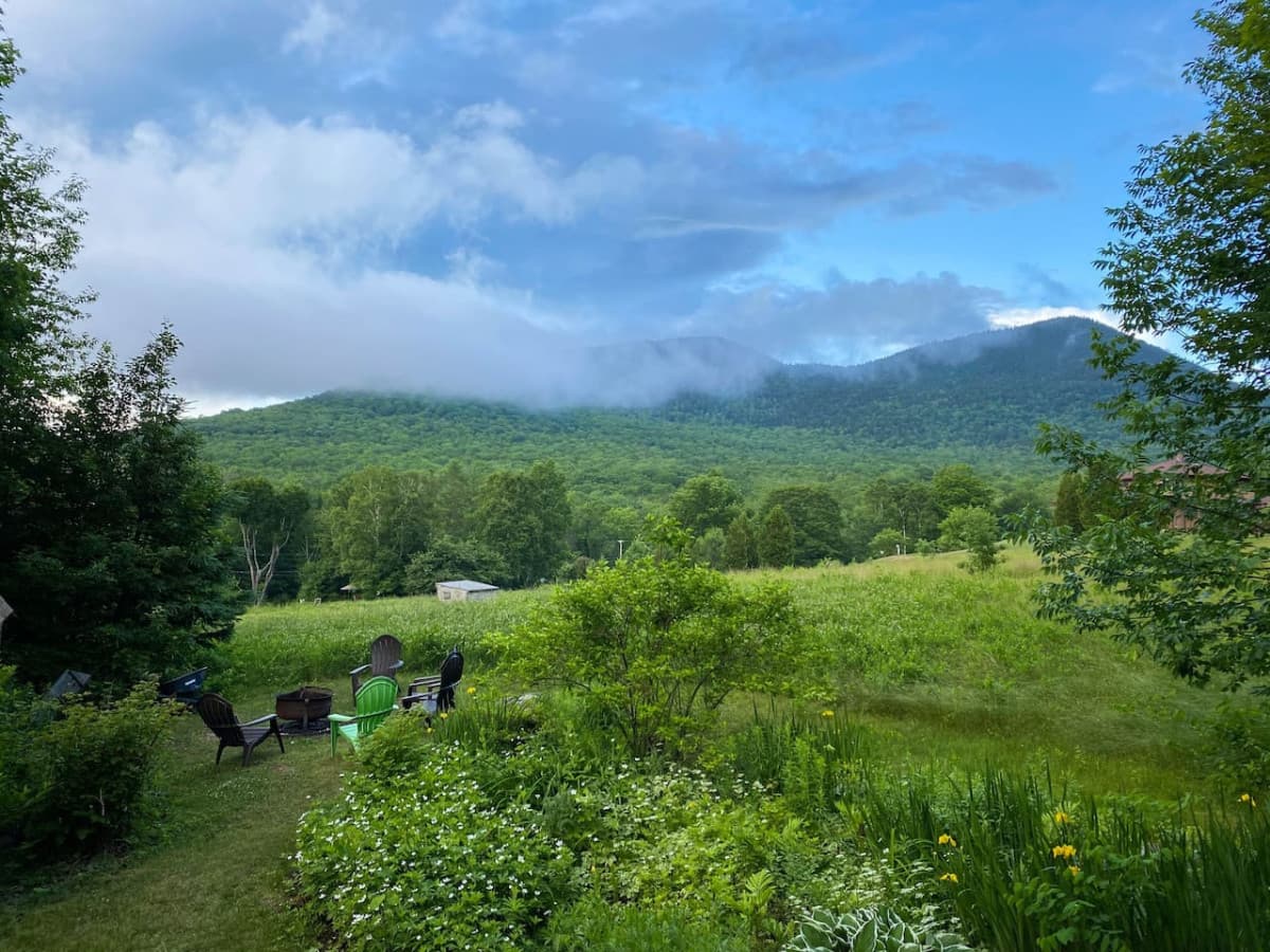 Views from the back deck