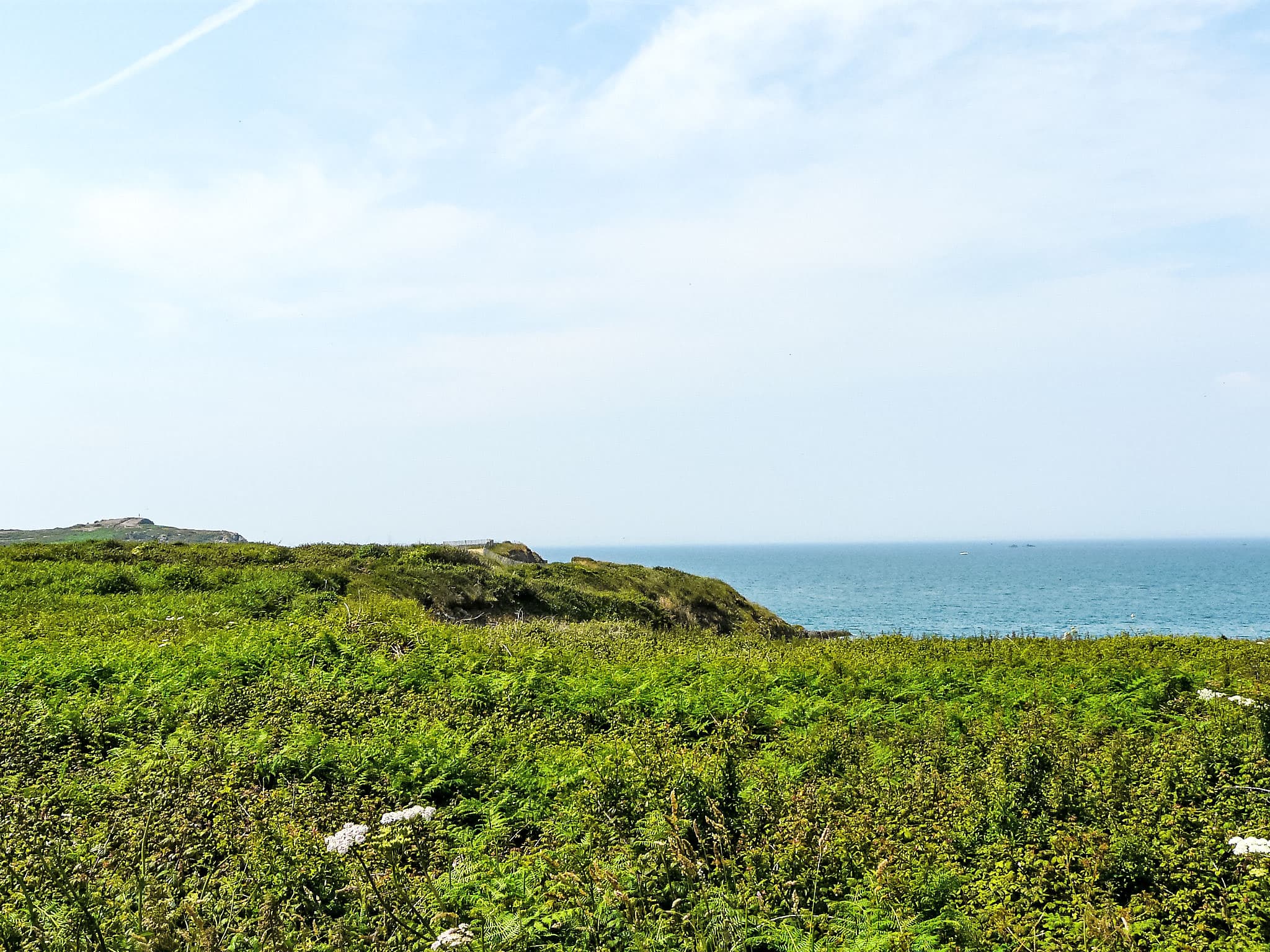View